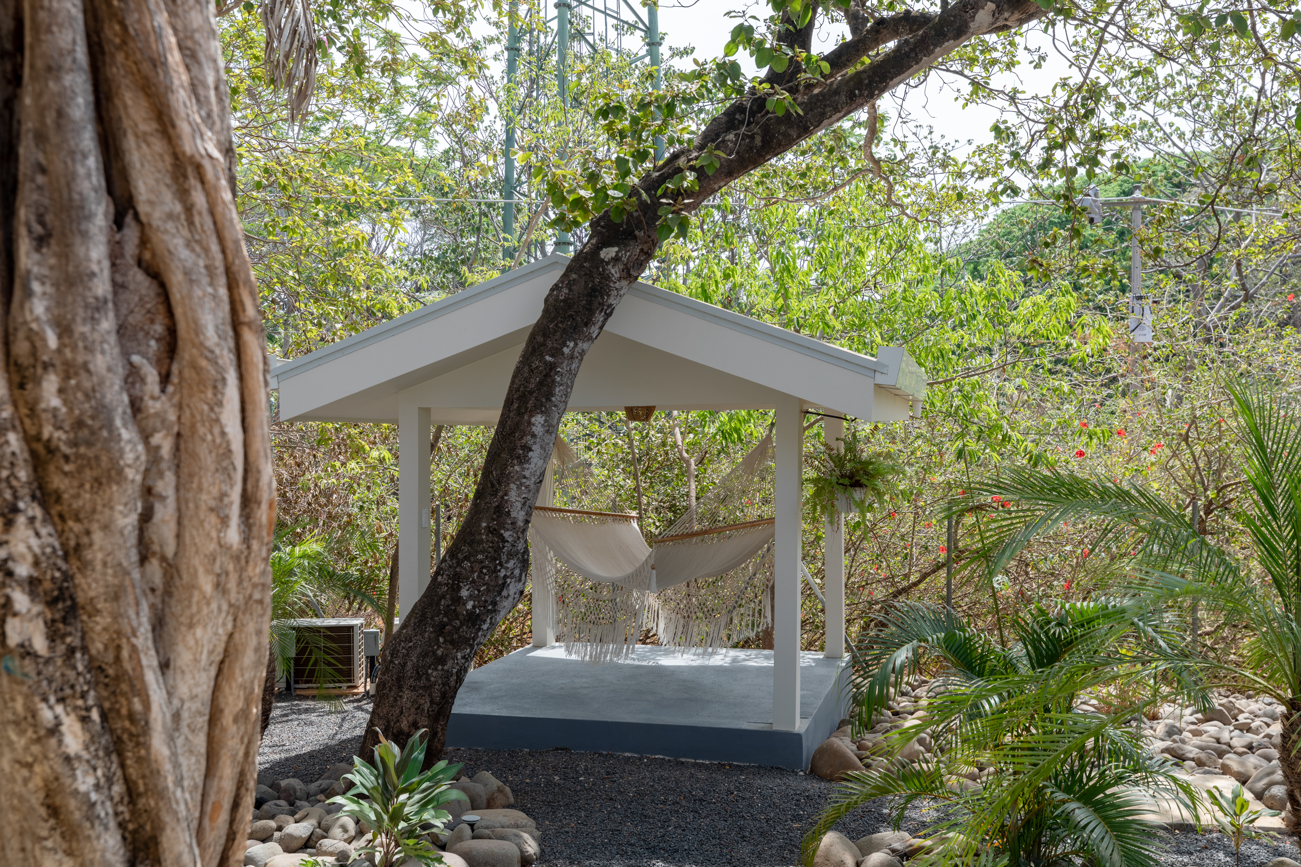 8 bed Single Family Homes For Rent in Nosara, Guanacaste - thumb 28