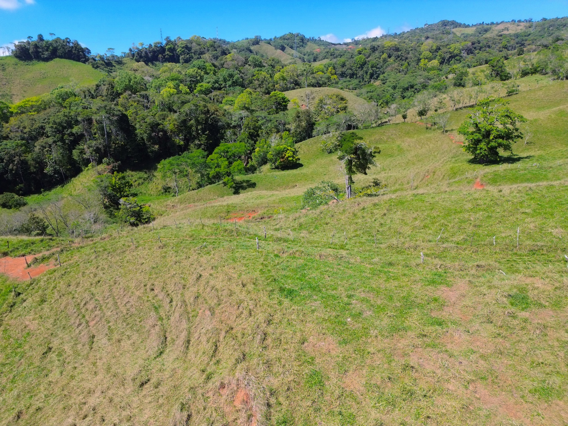 0 bed Land For Sale in Perez Zeledon, San Jose - thumb 8