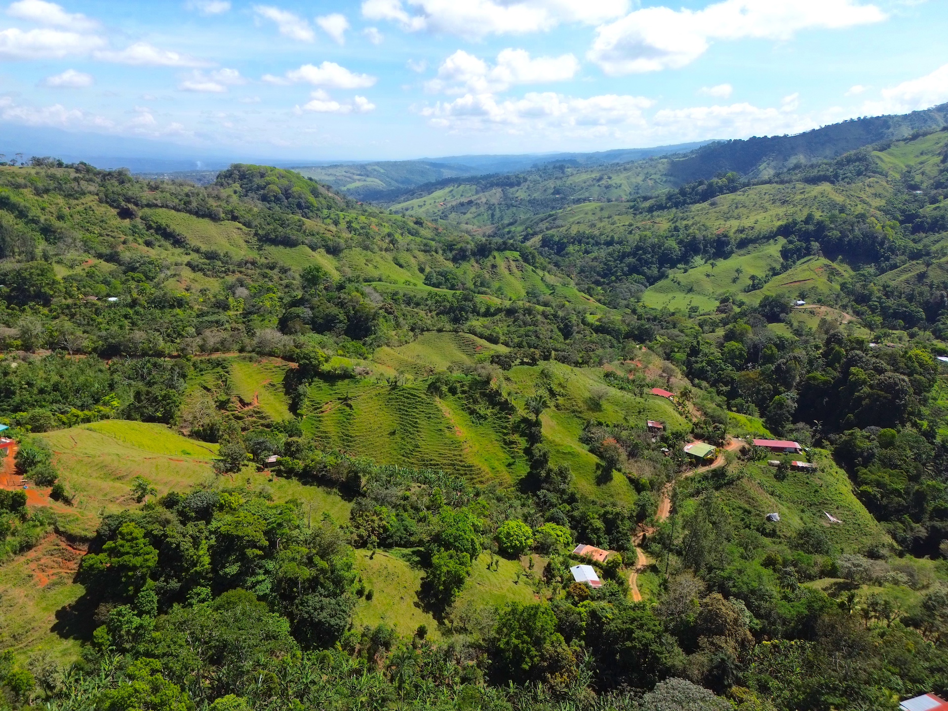0 bed Land For Sale in Perez Zeledon, San Jose - thumb 1
