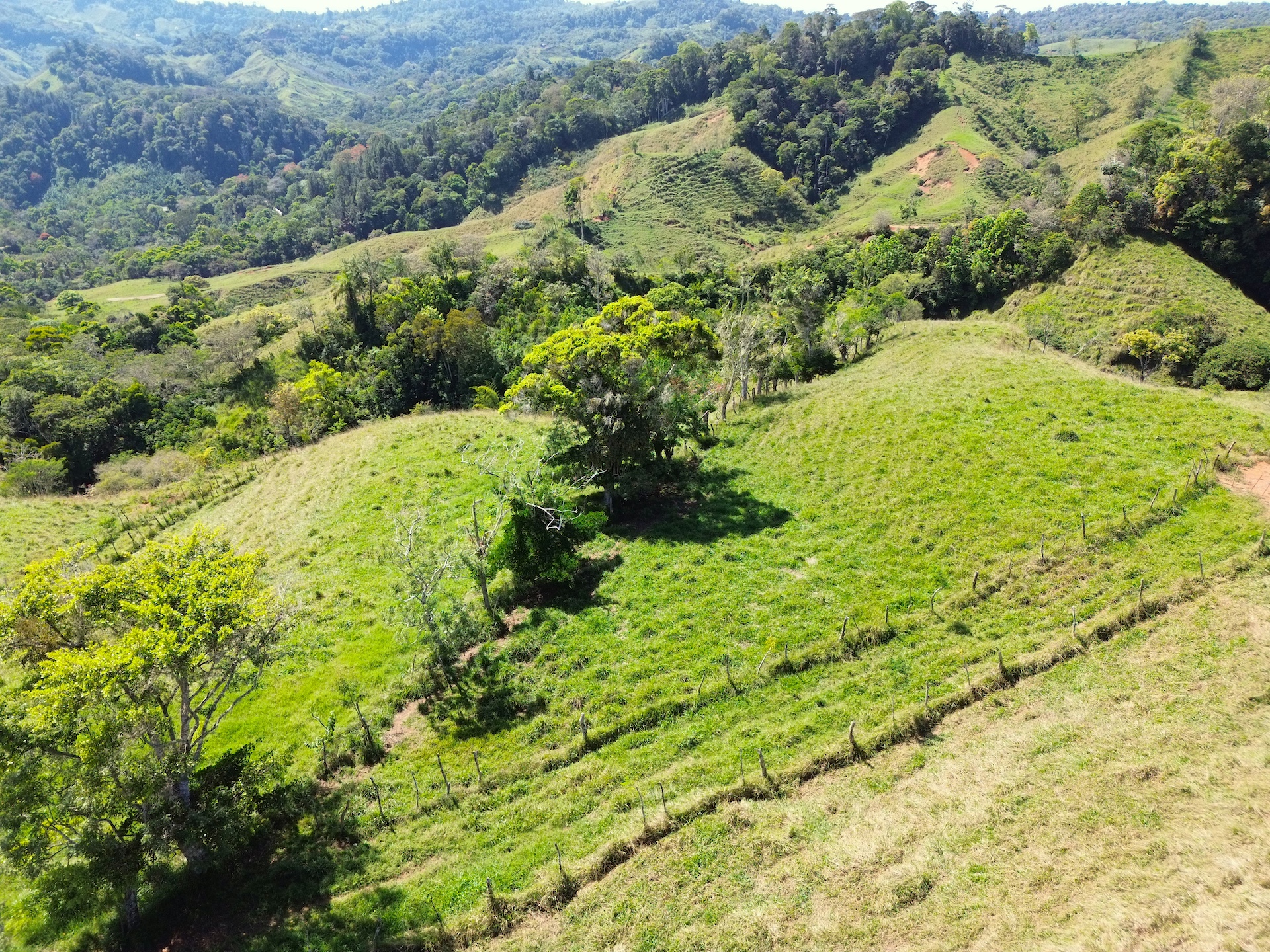 0 bed Land For Sale in Perez Zeledon, San Jose - thumb 6