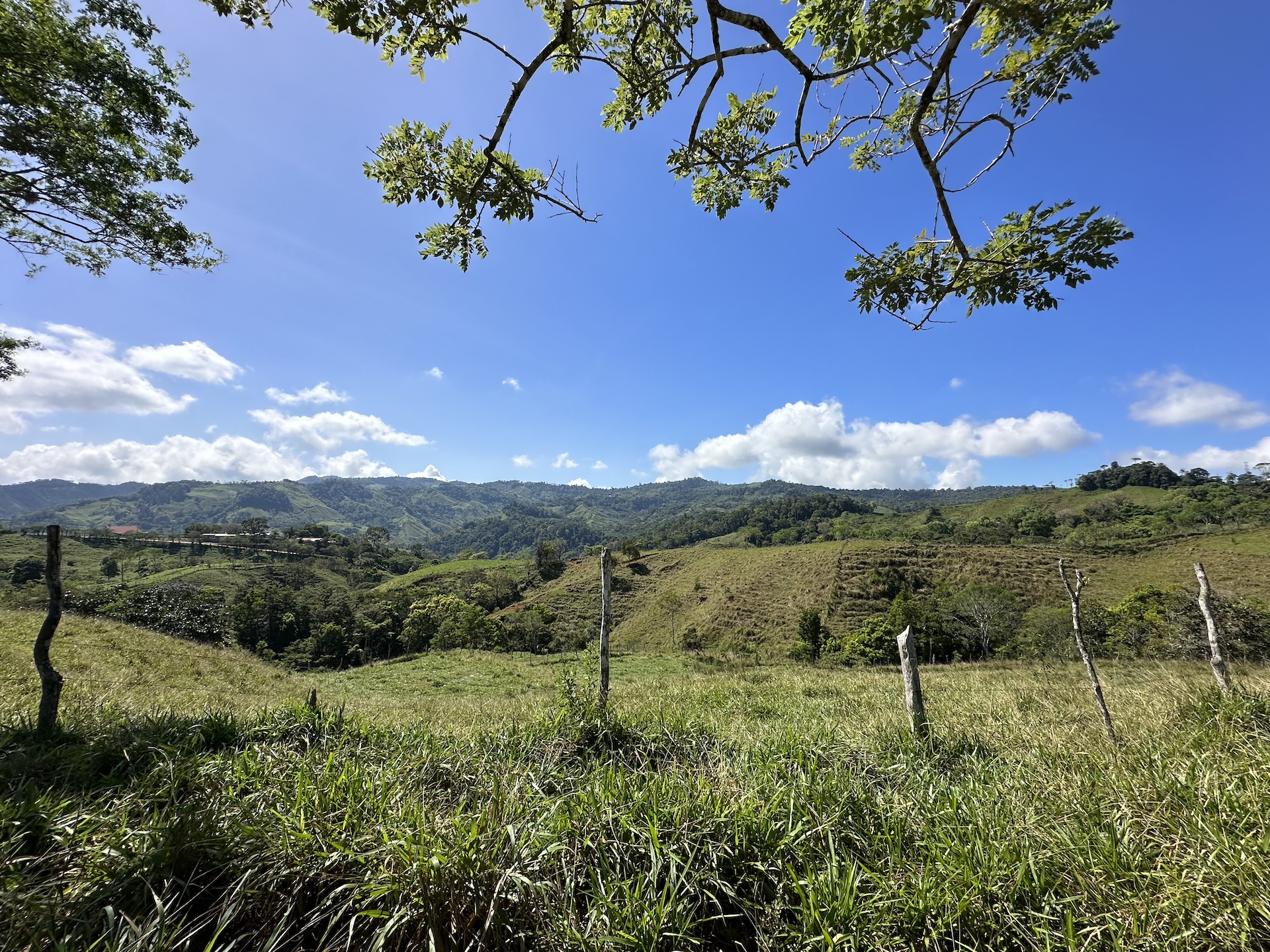 0 bed Land For Sale in Perez Zeledon, San Jose - thumb 9