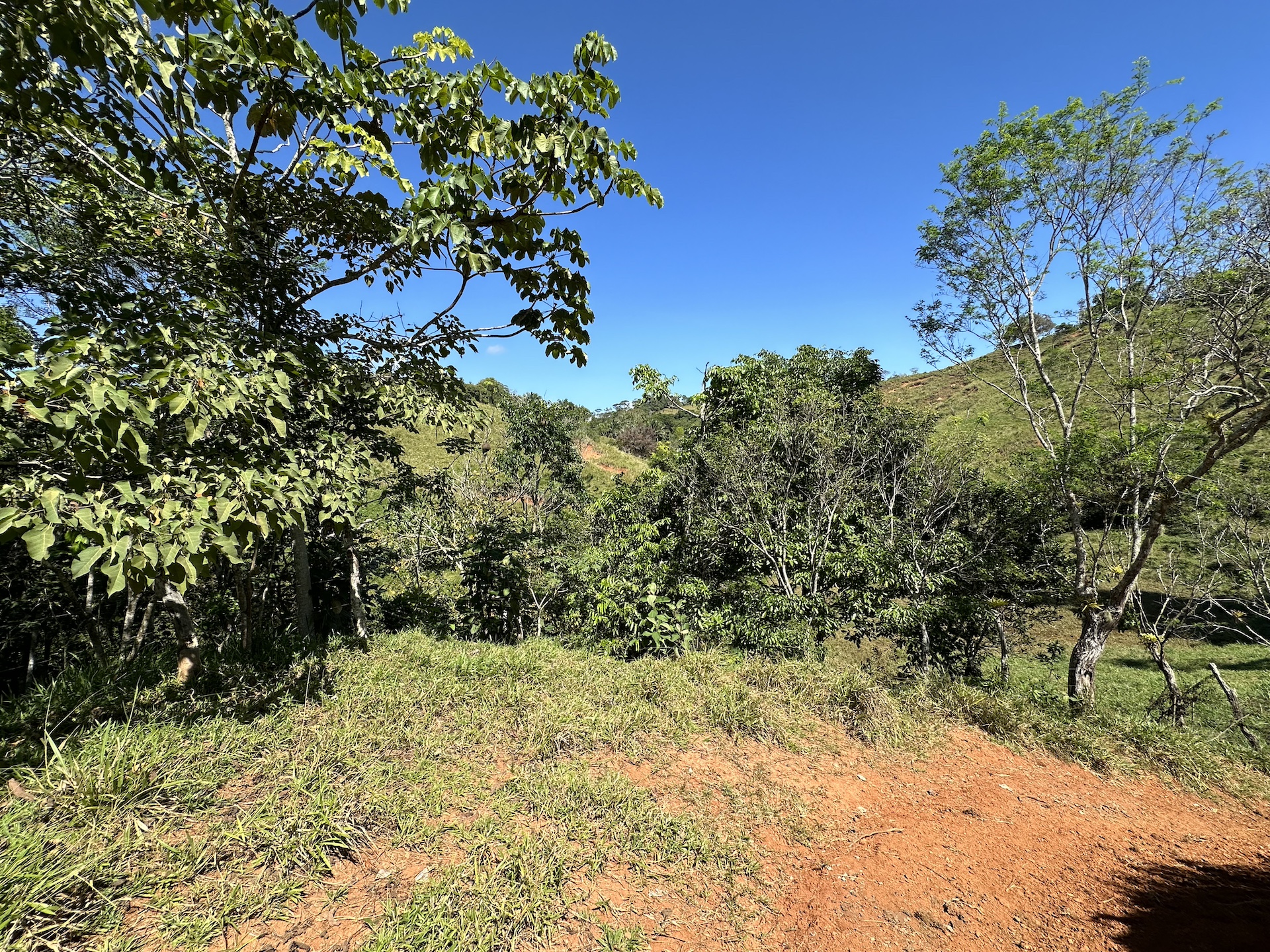 0 bed Land For Sale in Perez Zeledon, San Jose - thumb 2