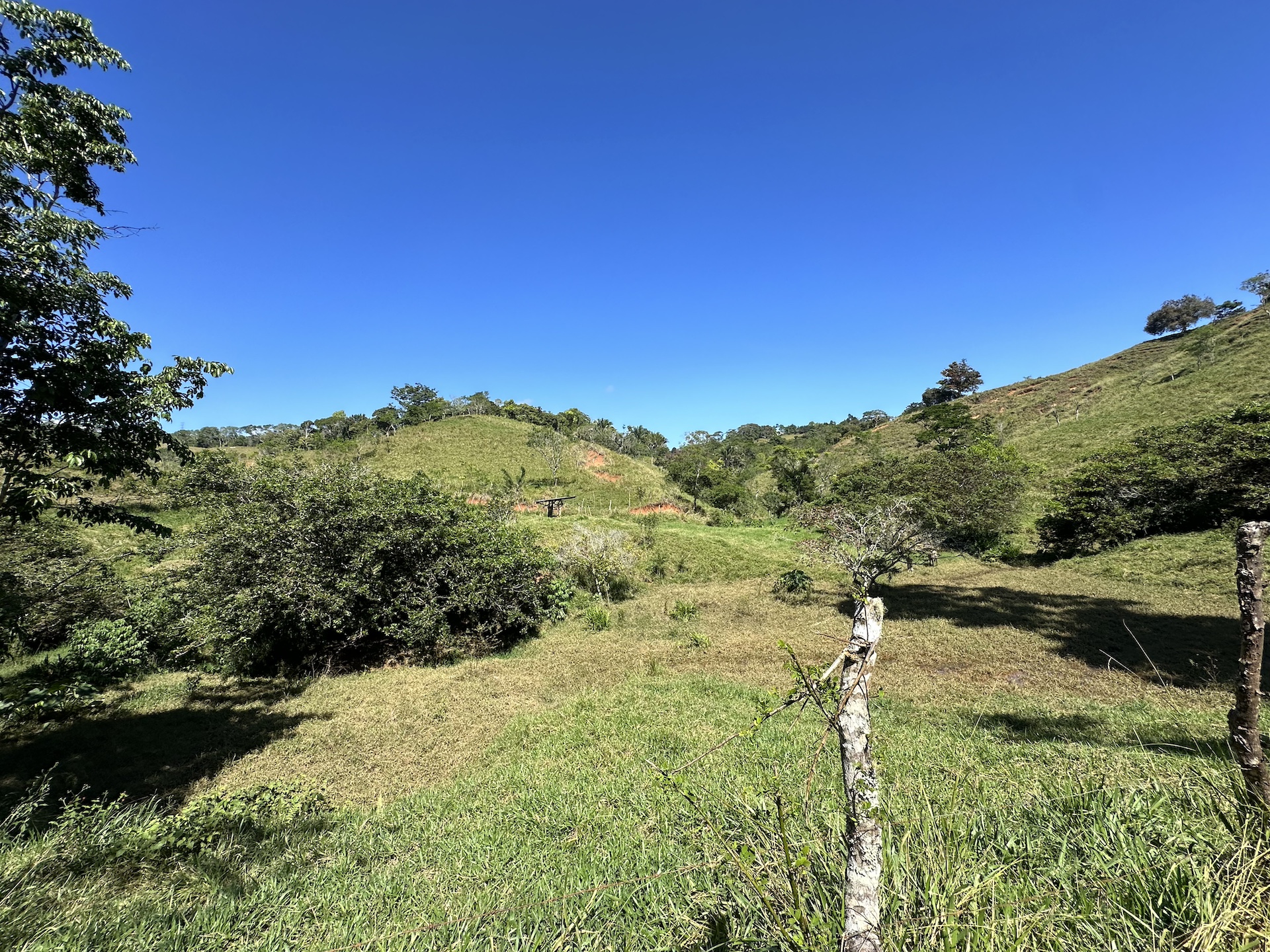 0 bed Land For Sale in Perez Zeledon, San Jose - thumb 4