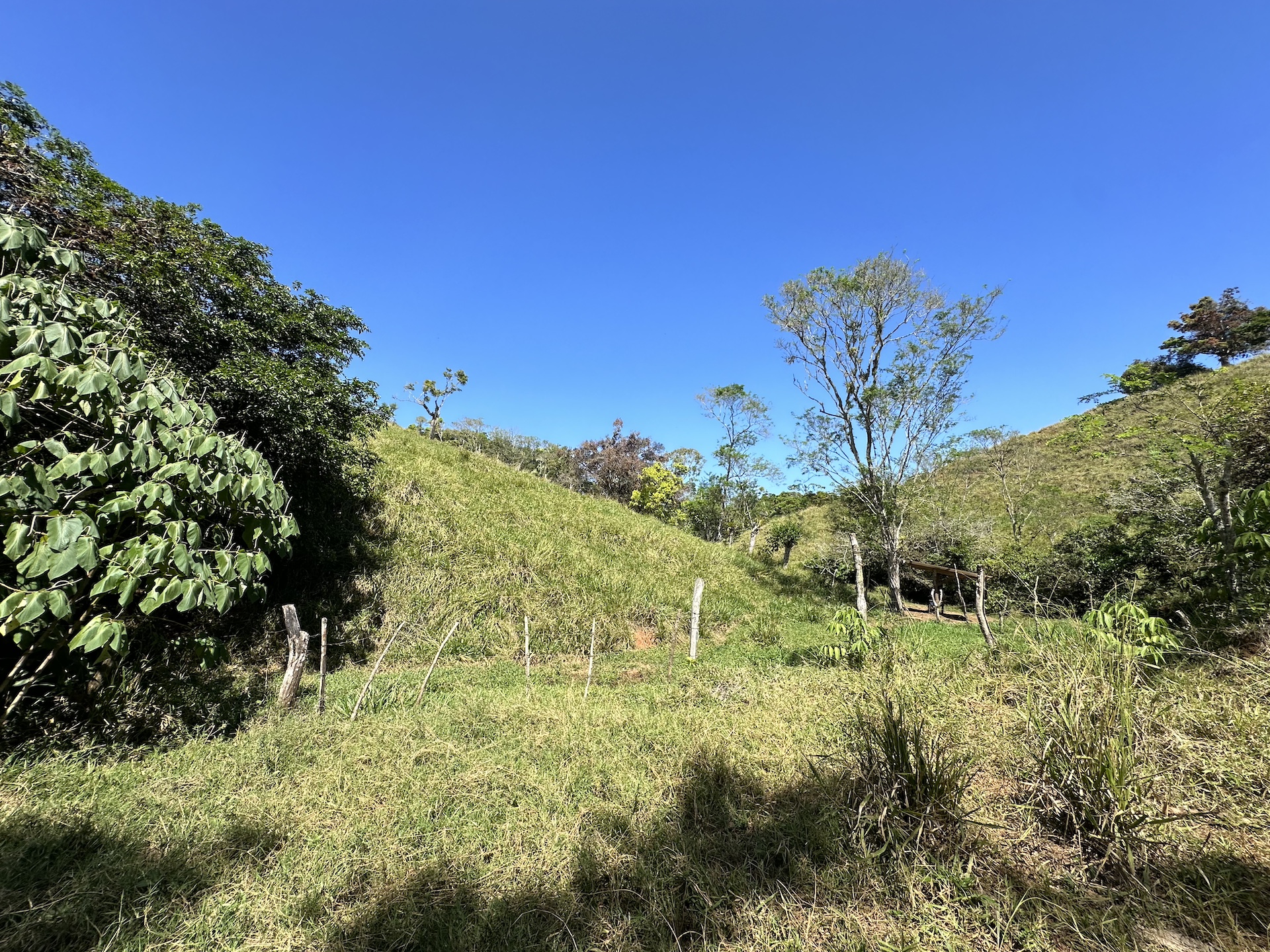 0 bed Land For Sale in Perez Zeledon, San Jose - thumb 7