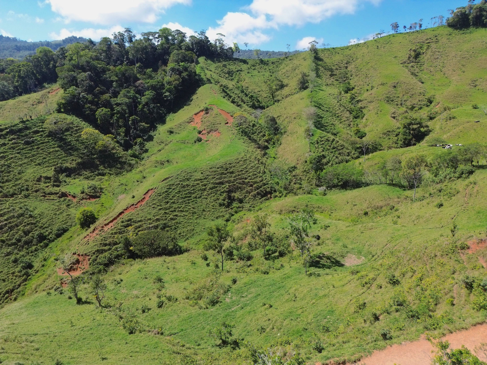 0 bed Land For Sale in Perez Zeledon, San Jose - thumb 11