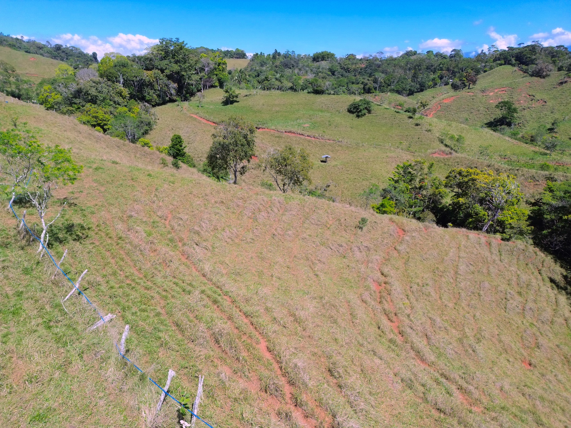 0 bed Land For Sale in Perez Zeledon, San Jose - thumb 10