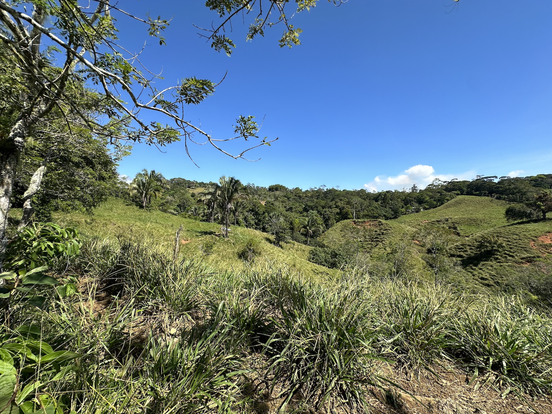 0 bed Land For Sale in Perez Zeledon, San Jose - thumb 16