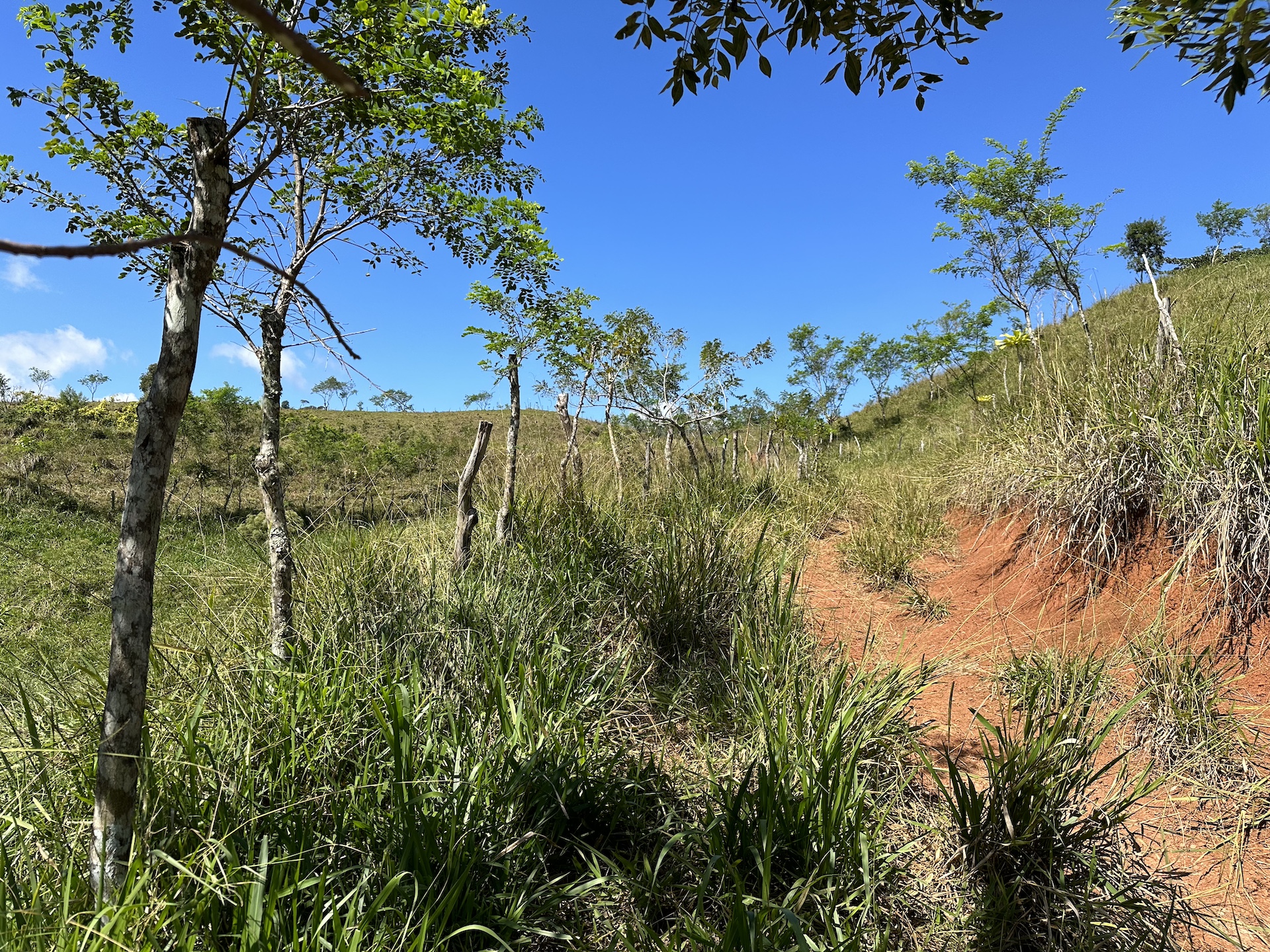 0 bed Land For Sale in Perez Zeledon, San Jose - thumb 12