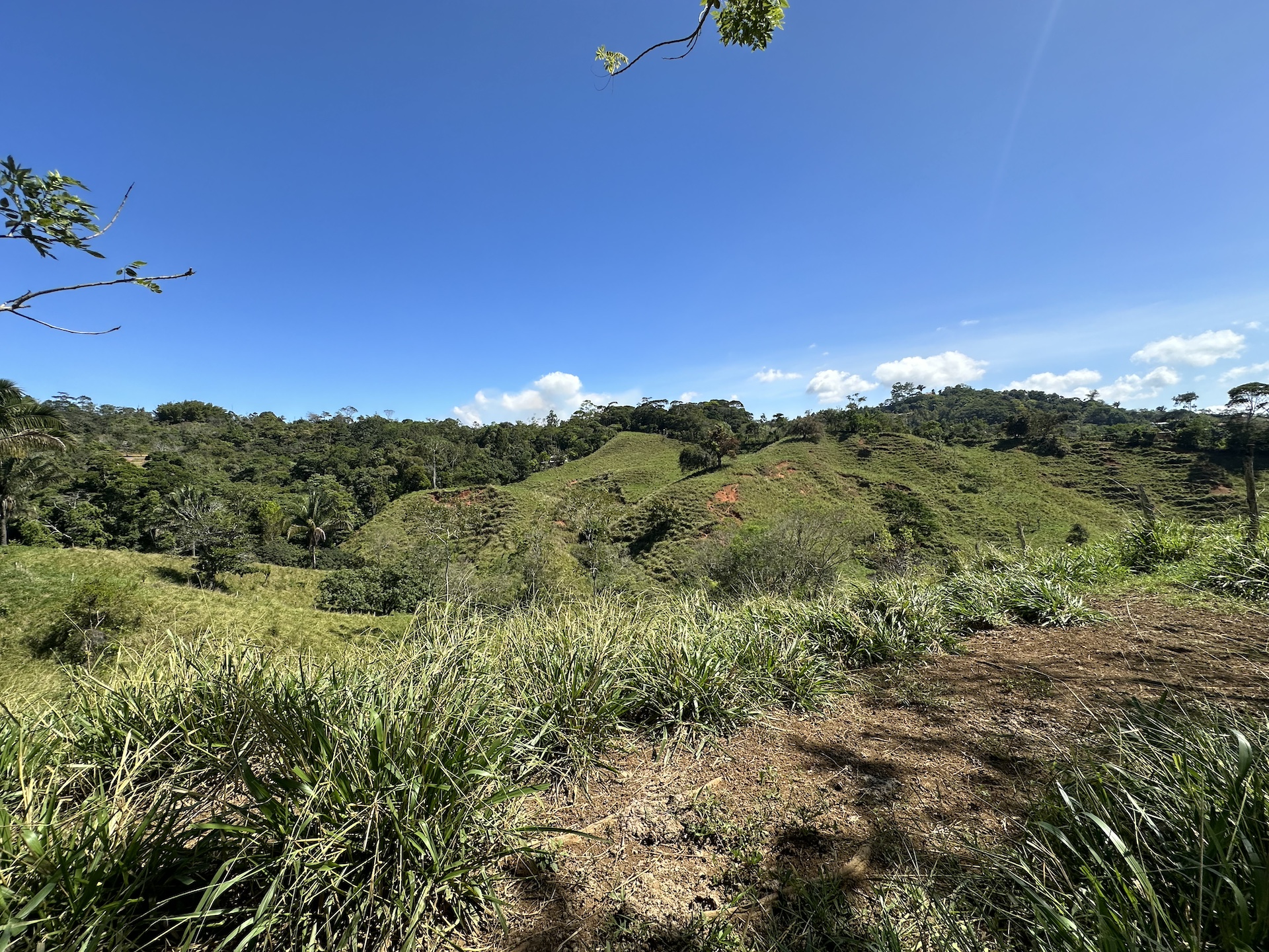 0 bed Land For Sale in Perez Zeledon, San Jose - thumb 14