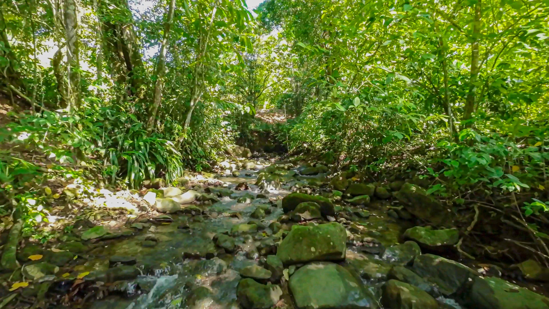 3 bed Single Family Homes For Sale in Uvita, Puntarenas - thumb 30