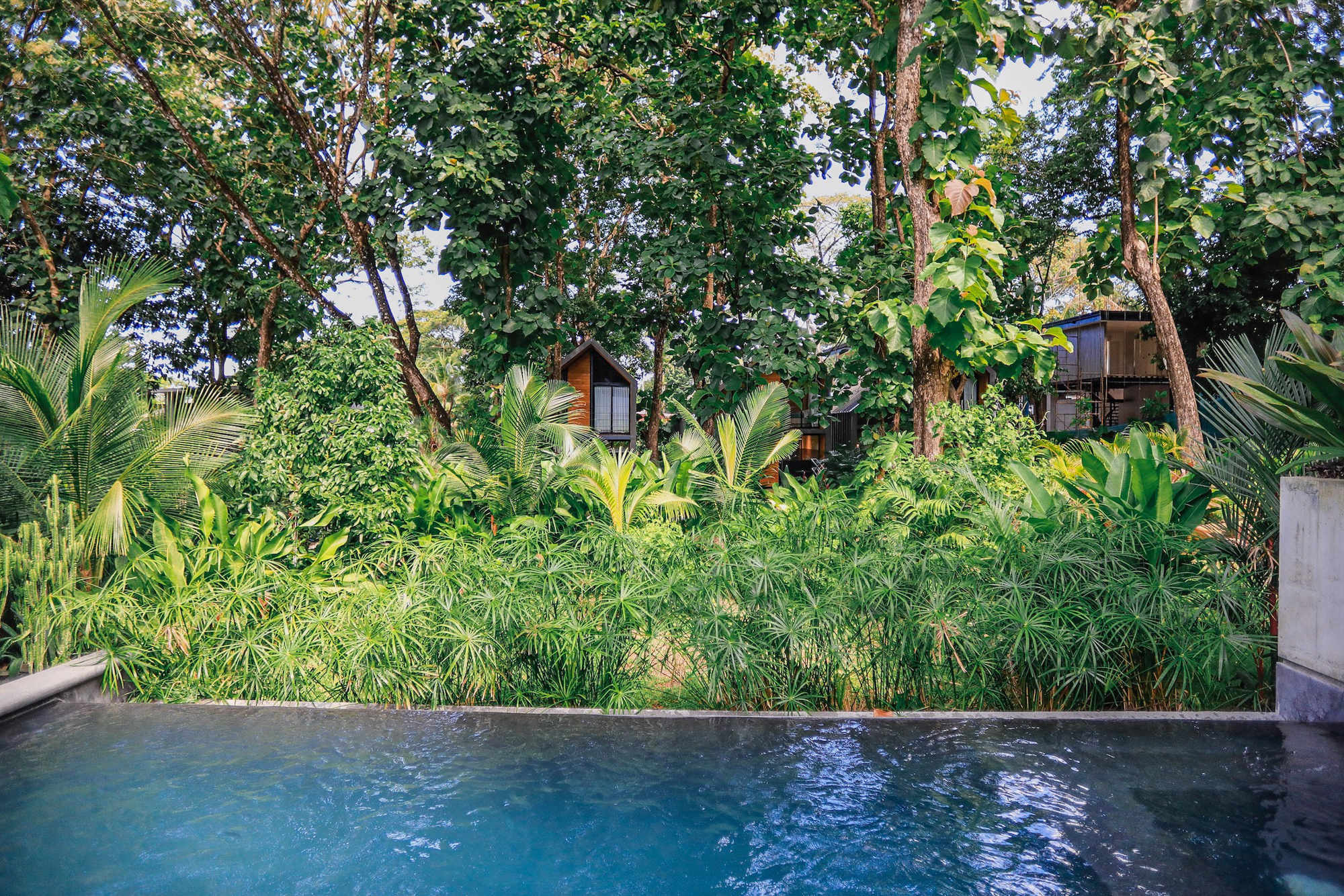 2 bed Condo For Sale in Malpais, Puntarenas - thumb 14