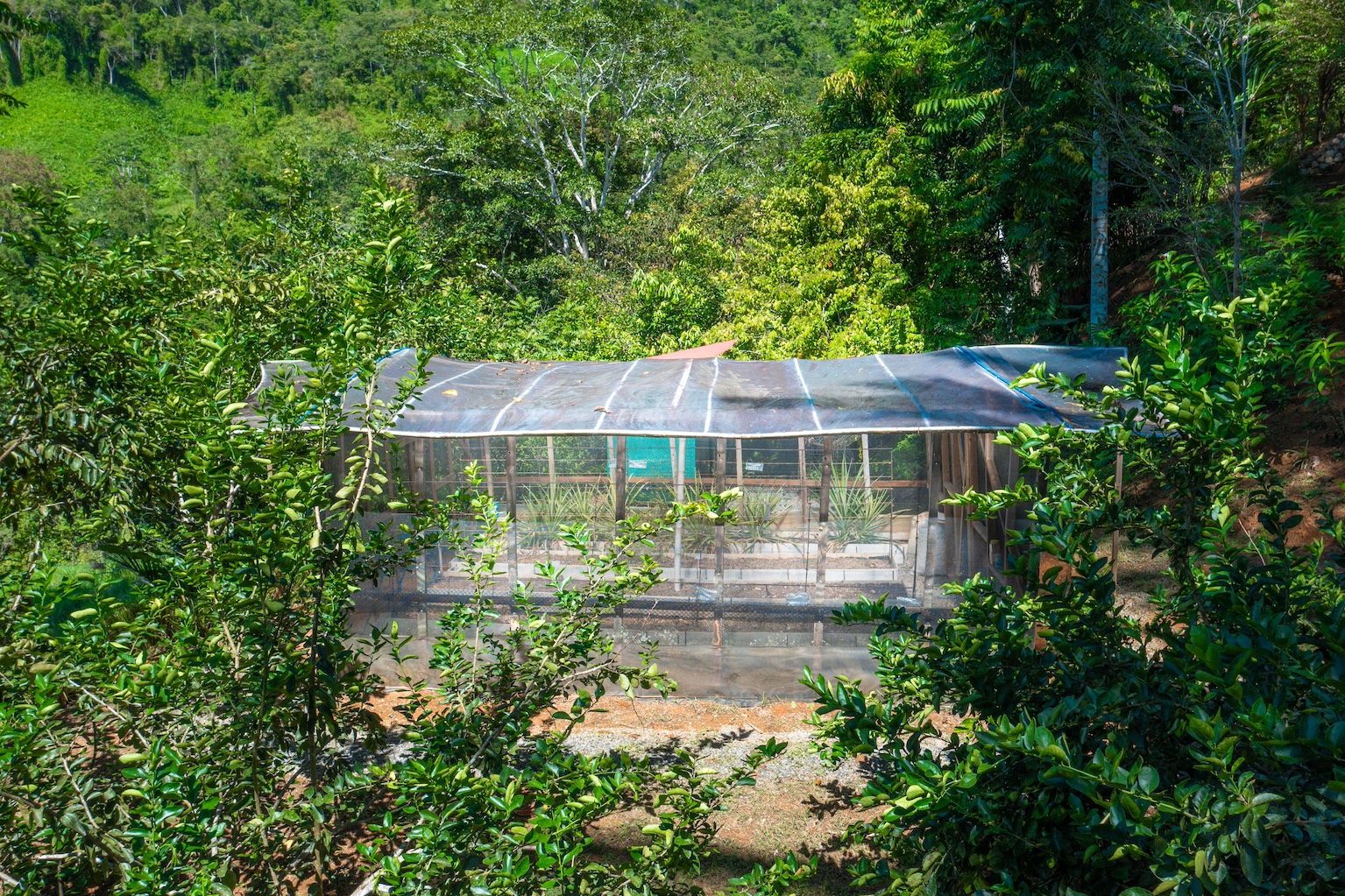 3 bed Single Family Homes For Sale in Dominical, Puntarenas - thumb 29