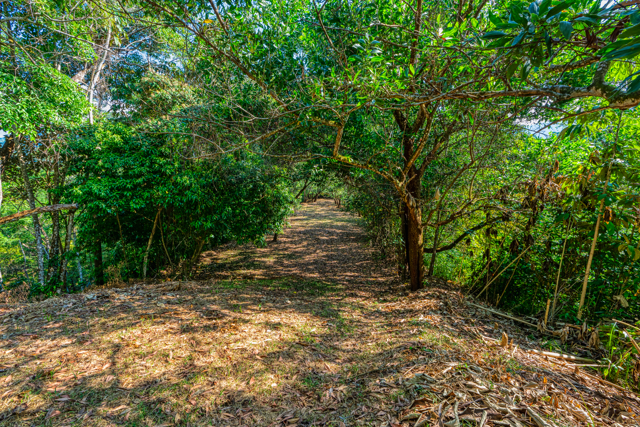 0 bed Land For Sale in Uvita, Puntarenas - thumb 20