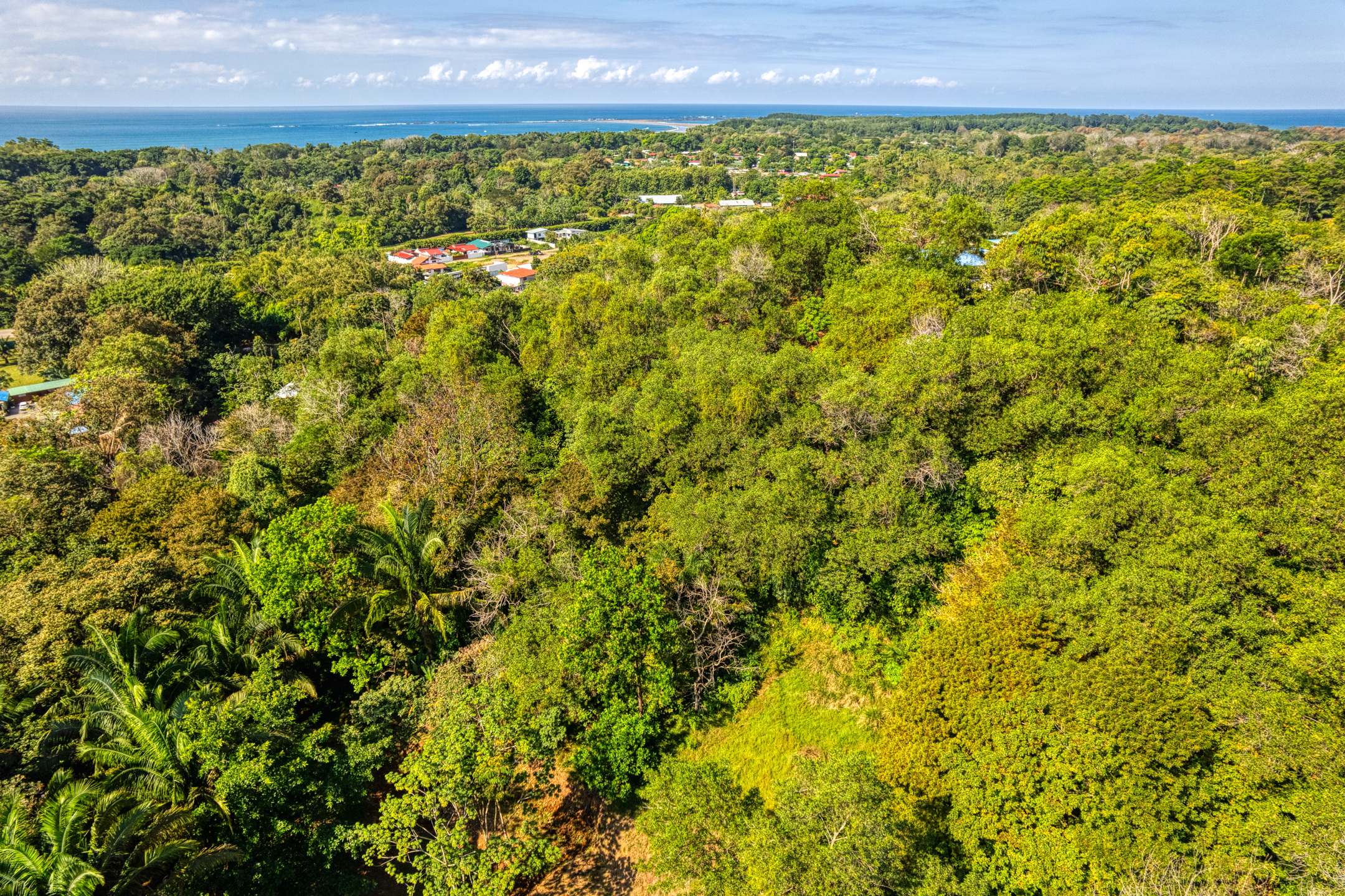 0 bed Land For Sale in Uvita, Puntarenas - thumb 10