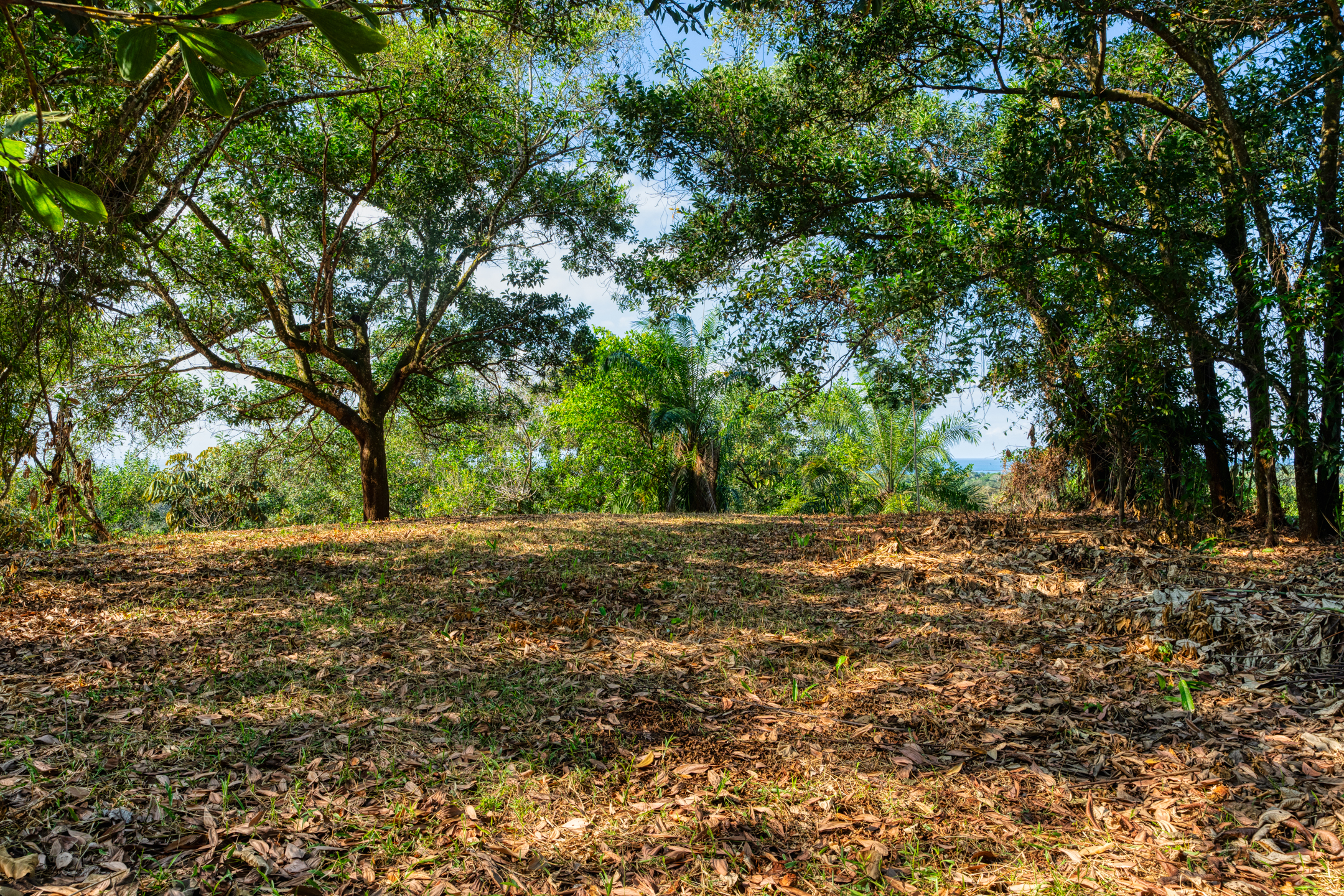 0 bed Land For Sale in Uvita, Puntarenas - thumb 22