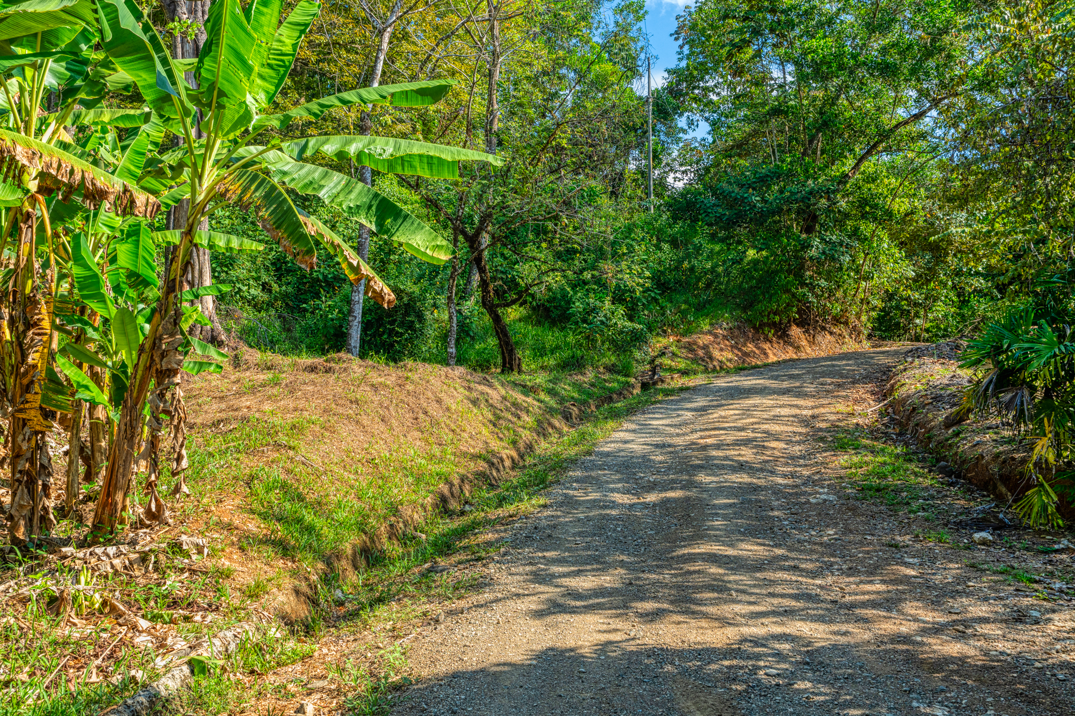 0 bed Land For Sale in Uvita, Puntarenas - thumb 5