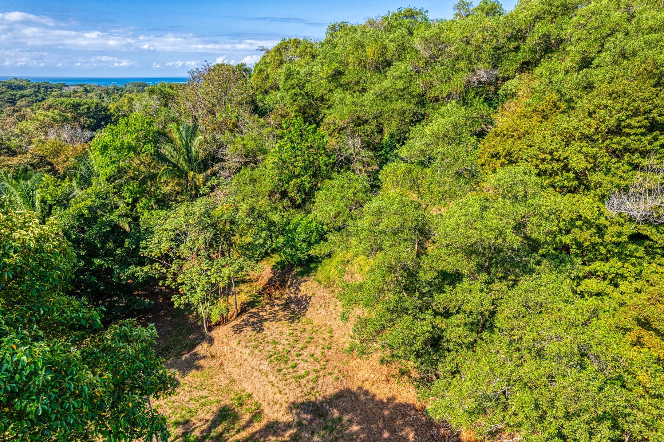 0 bed Land For Sale in Uvita, Puntarenas - thumb 9