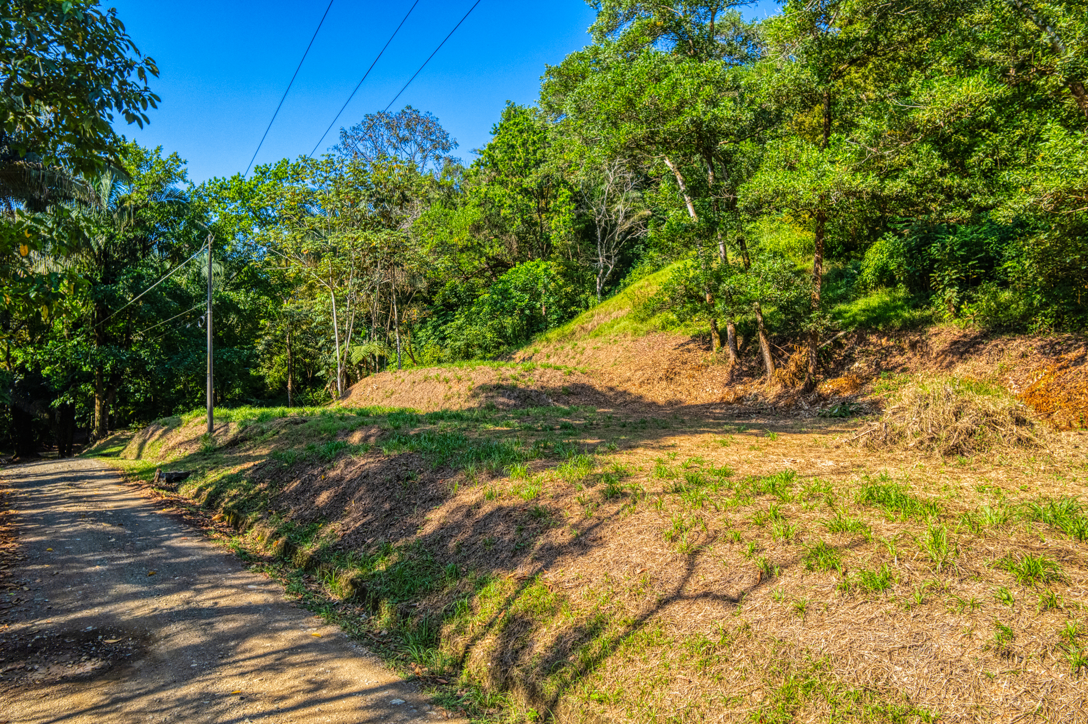 0 bed Land For Sale in Uvita, Puntarenas - thumb 8