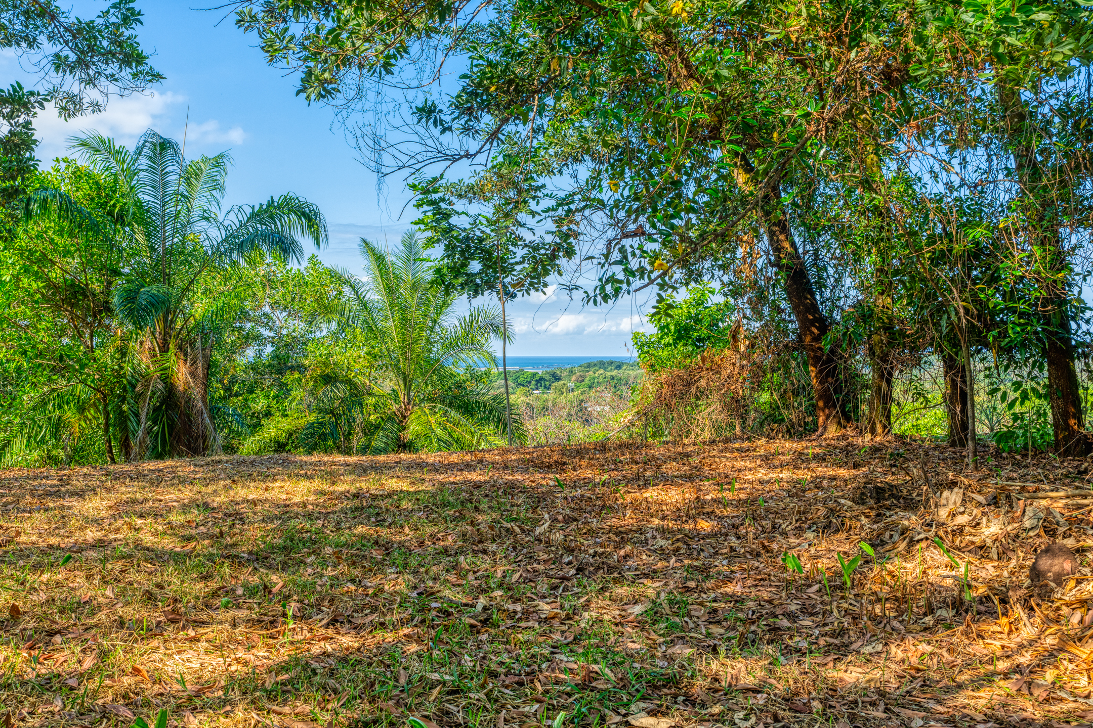 0 bed Land For Sale in Uvita, Puntarenas - thumb 1