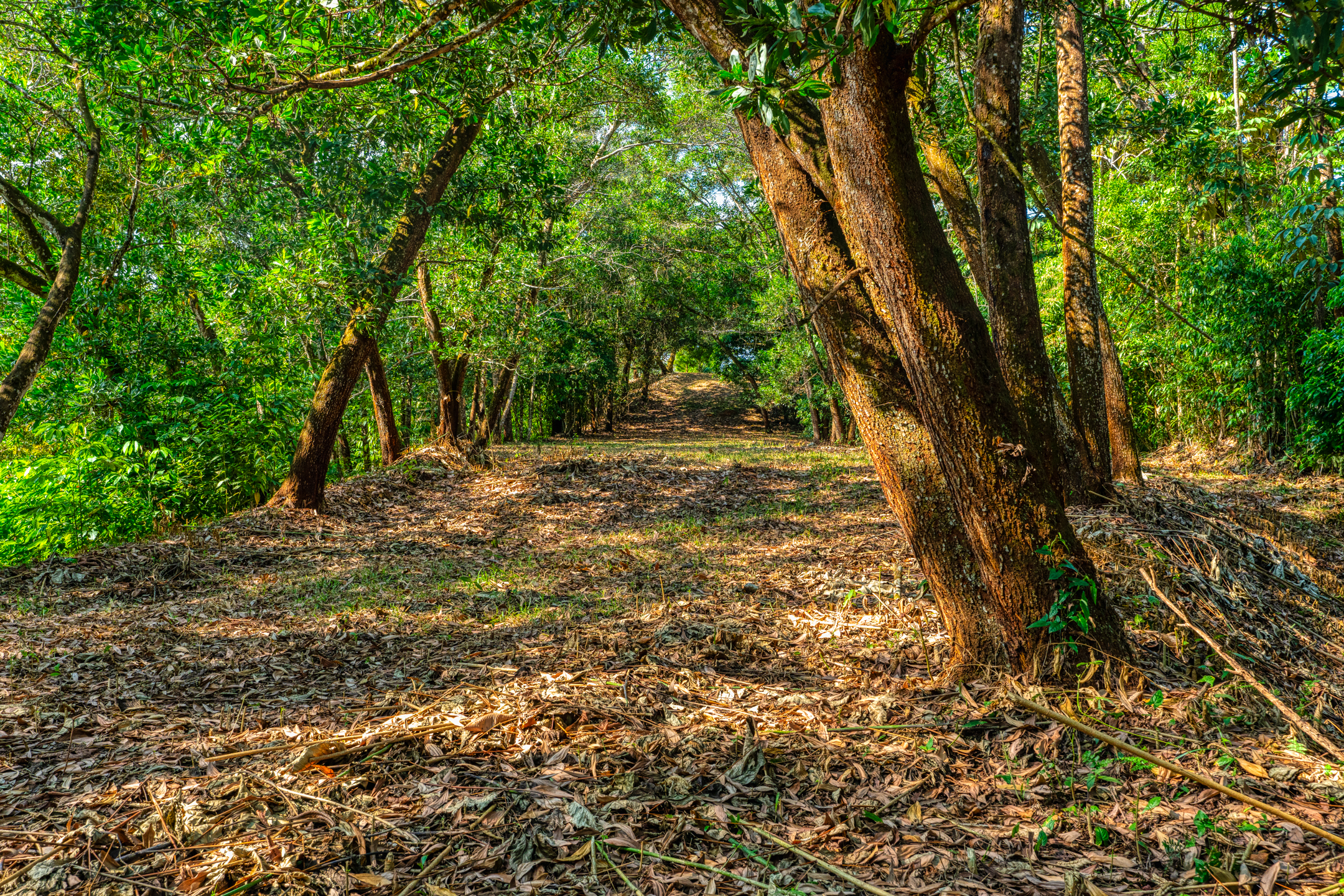 0 bed Land For Sale in Uvita, Puntarenas - thumb 23