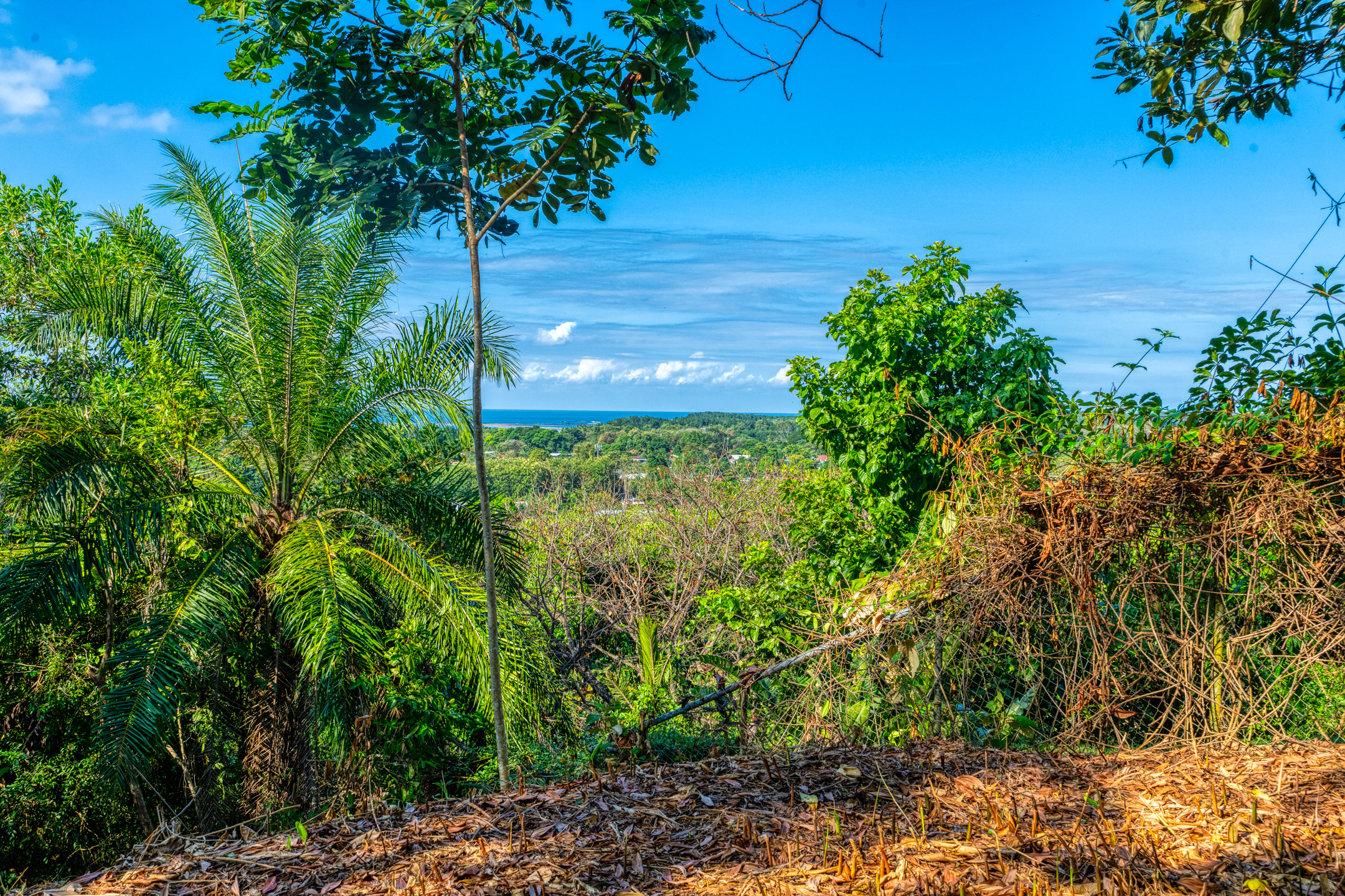 0 bed Land For Sale in Uvita, Puntarenas - thumb 3