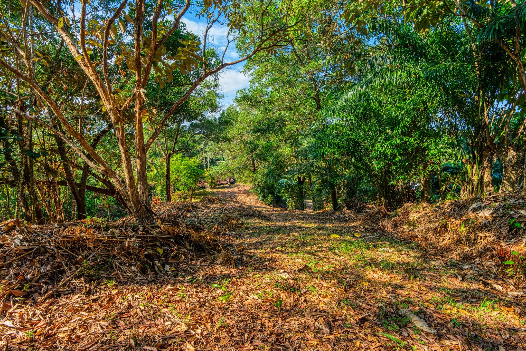 0 bed Land For Sale in Uvita, Puntarenas - thumb 18