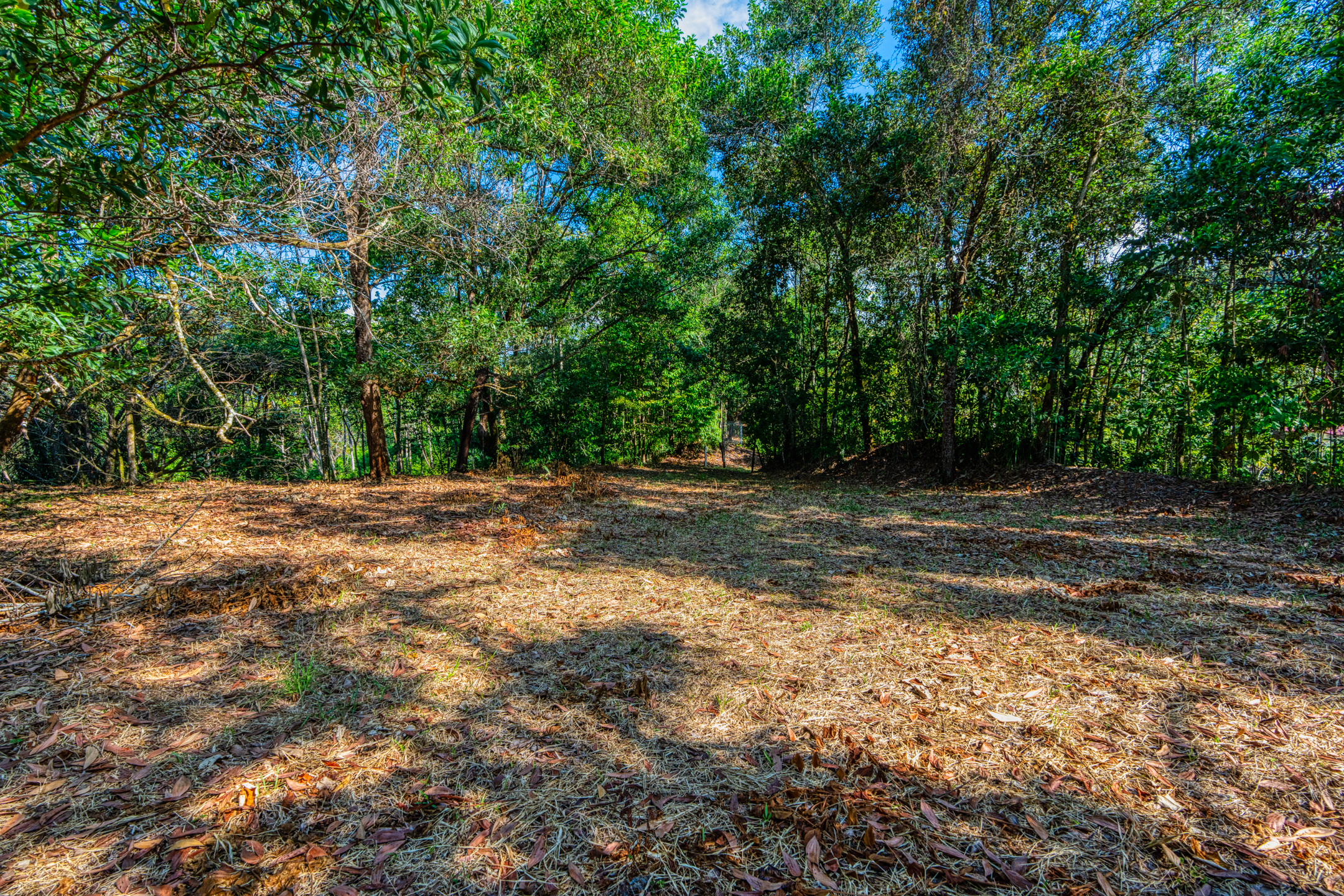 0 bed Land For Sale in Uvita, Puntarenas - thumb 21