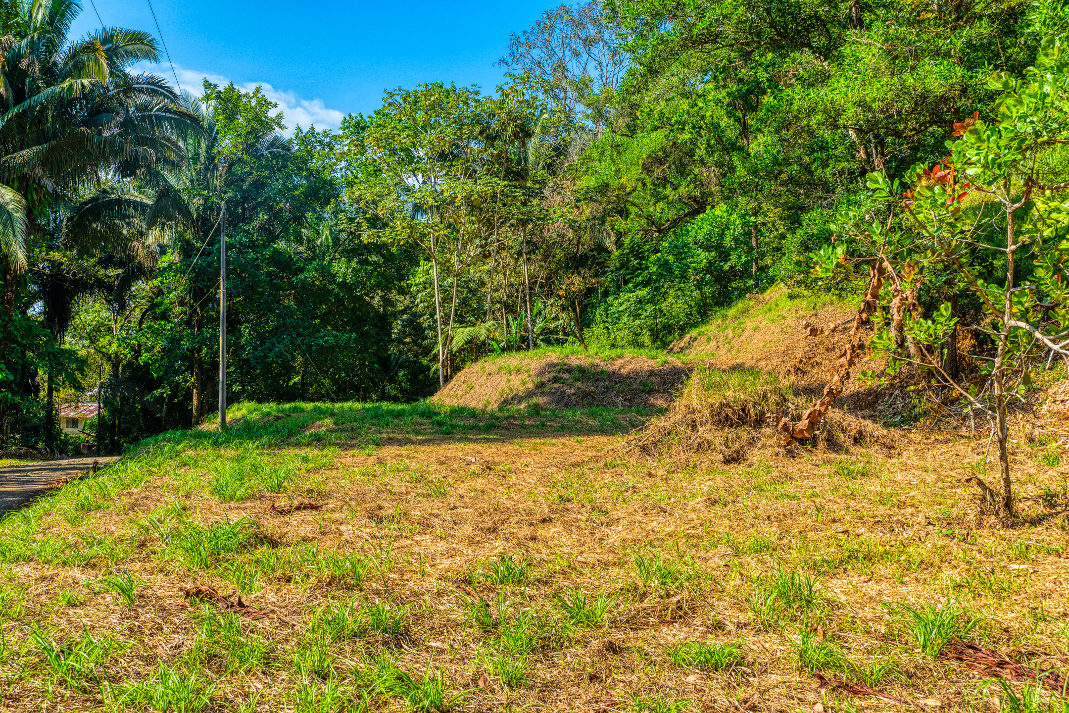 0 bed Land For Sale in Uvita, Puntarenas - thumb 6