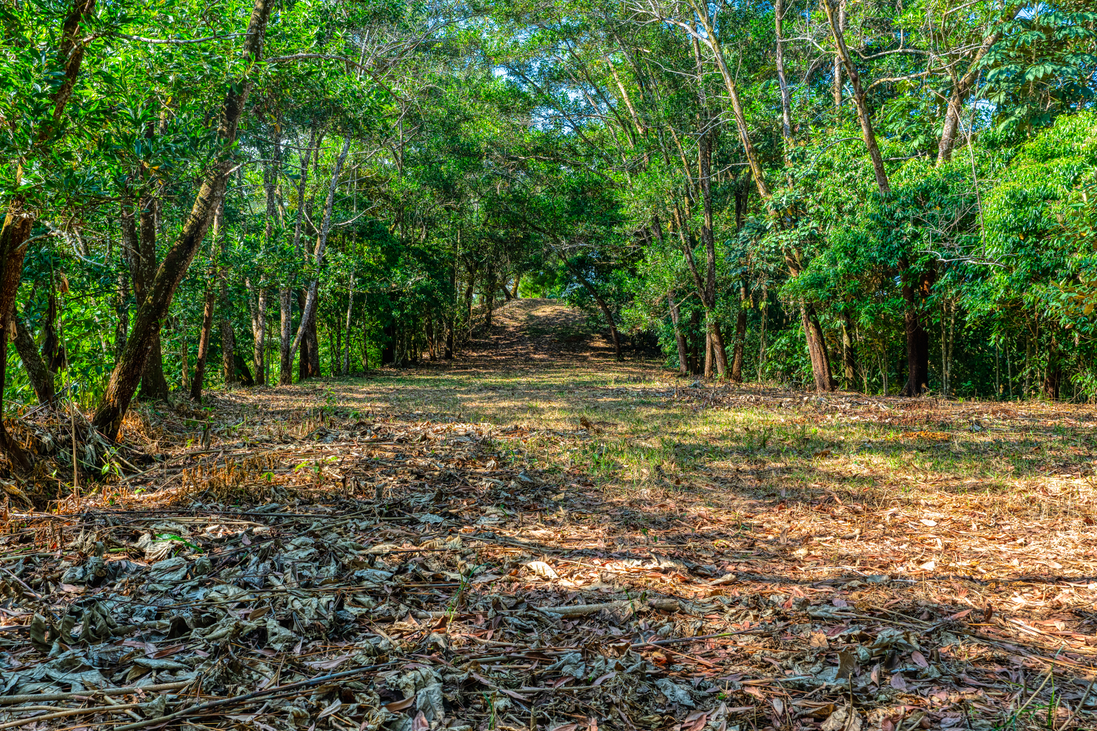 0 bed Land For Sale in Uvita, Puntarenas - thumb 4