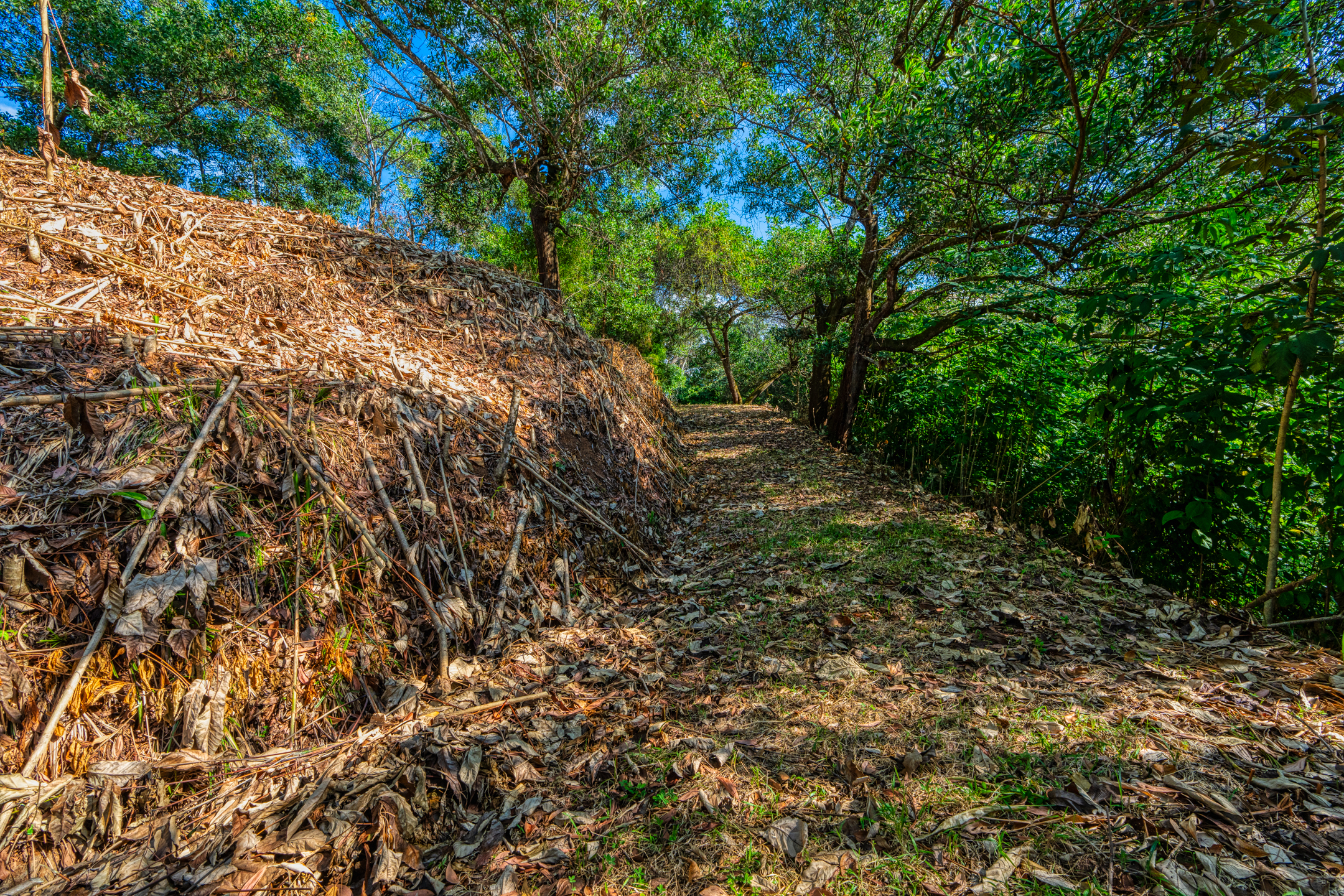 0 bed Land For Sale in Uvita, Puntarenas - thumb 19