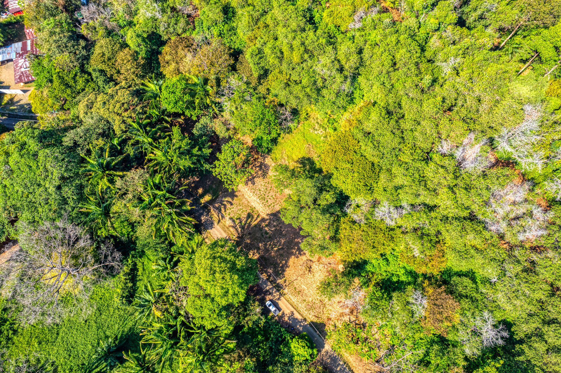 0 bed Land For Sale in Uvita, Puntarenas - thumb 12