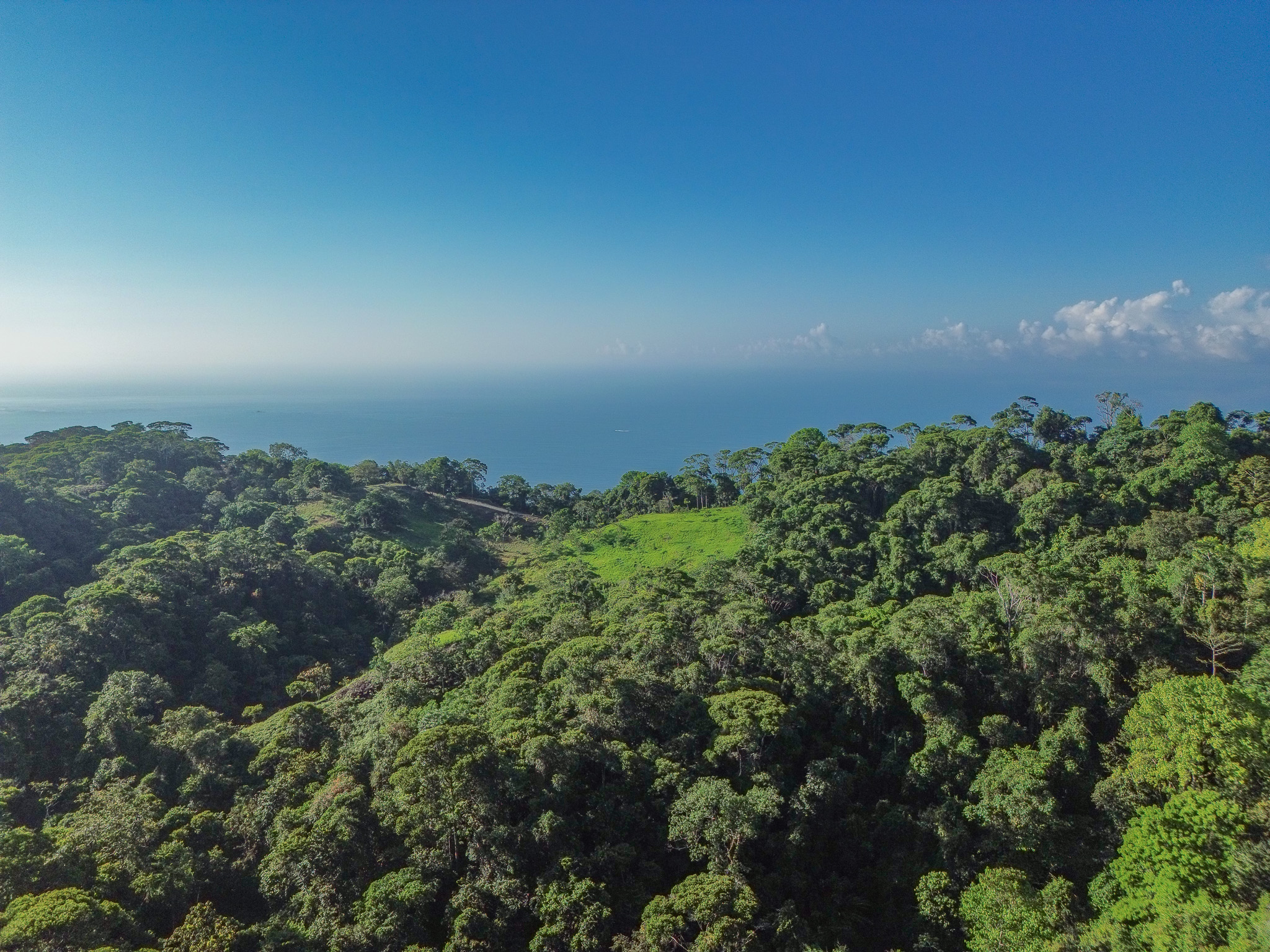 0 bed Land For Sale in Dominical, Puntarenas - thumb 2
