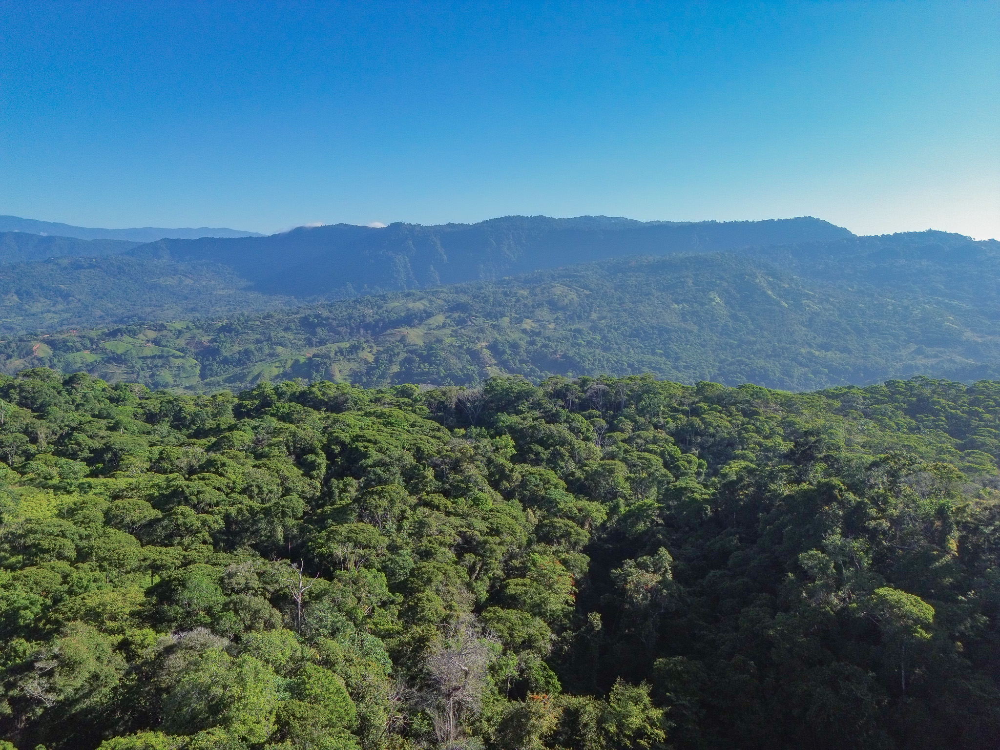 0 bed Land For Sale in Dominical, Puntarenas - thumb 14