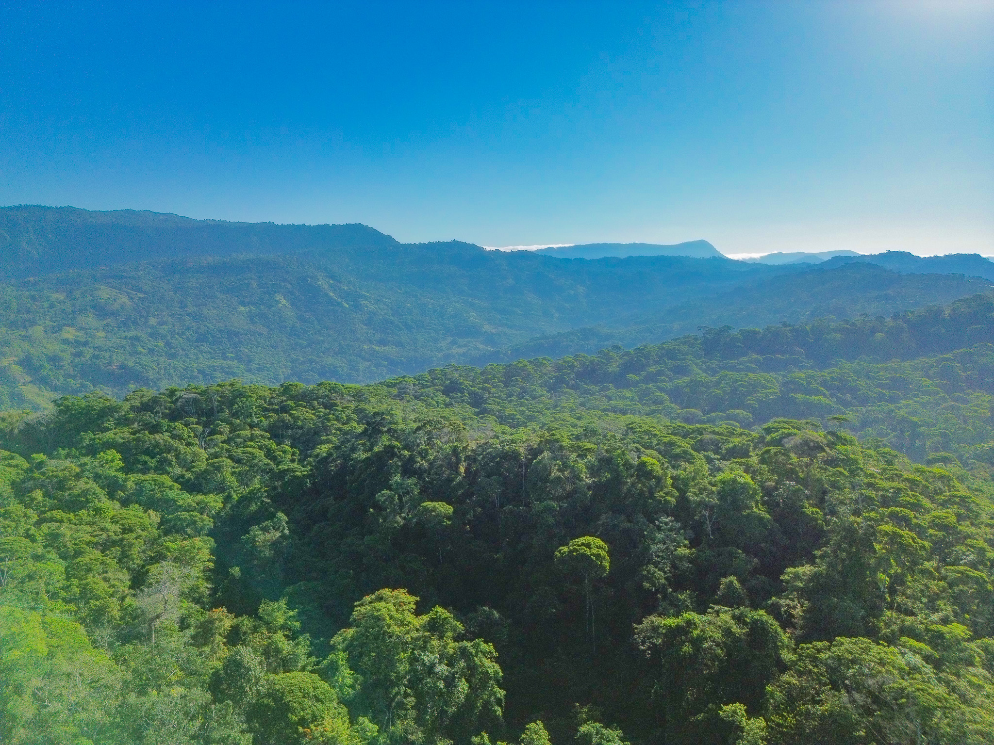 0 bed Land For Sale in Dominical, Puntarenas - thumb 11