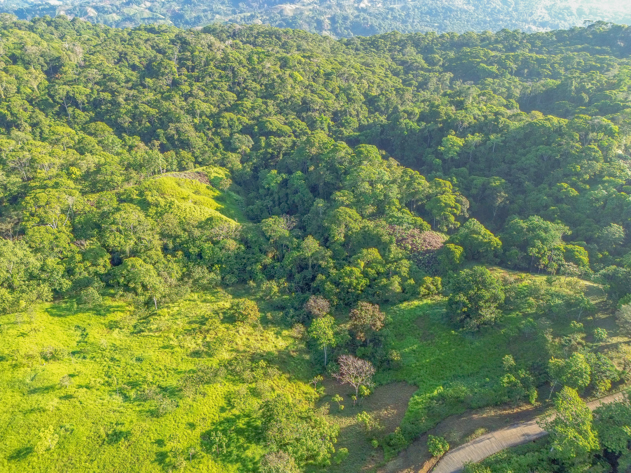 0 bed Land For Sale in Dominical, Puntarenas - thumb 4