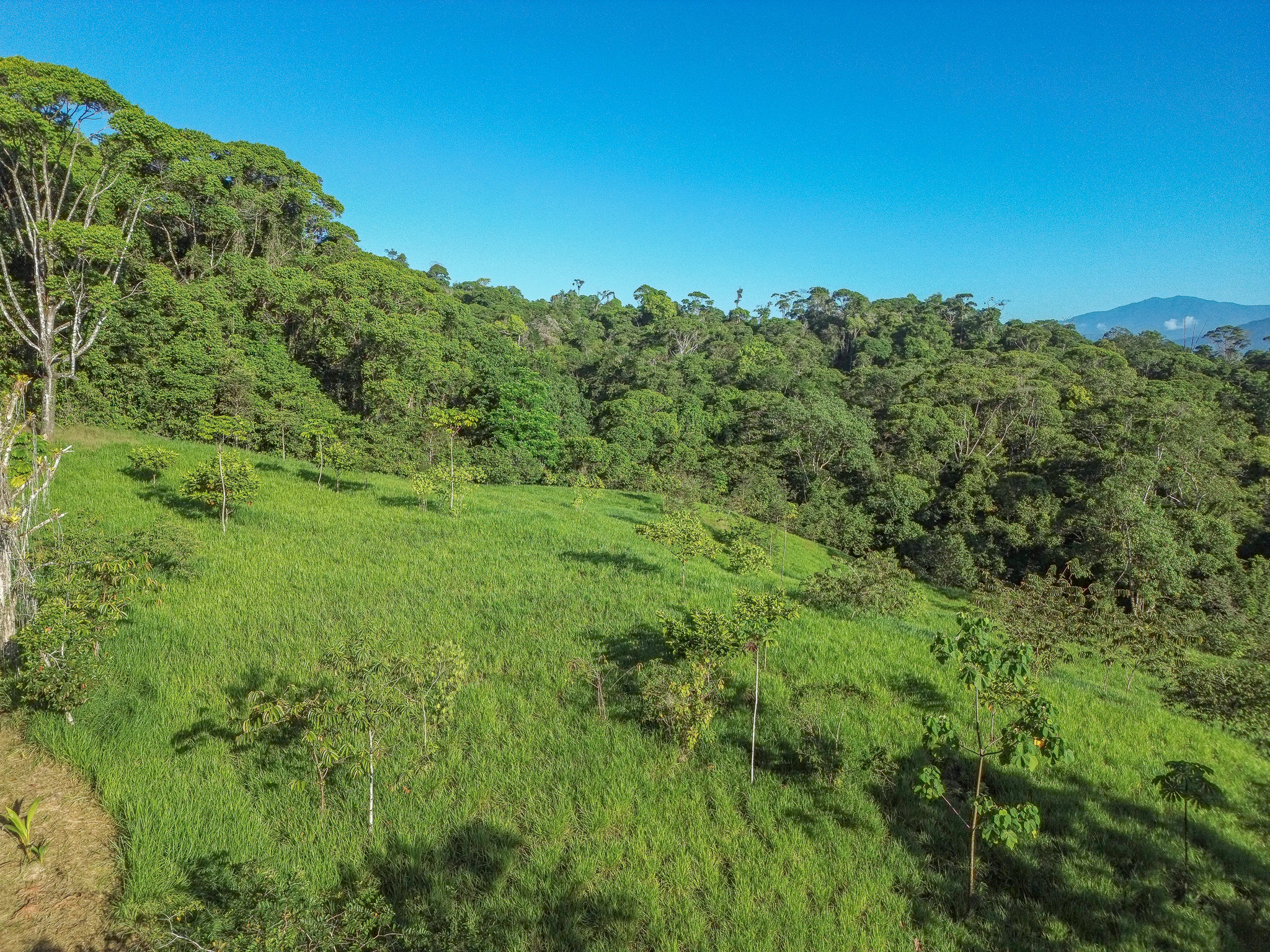 0 bed Land For Sale in Dominical, Puntarenas - thumb 5
