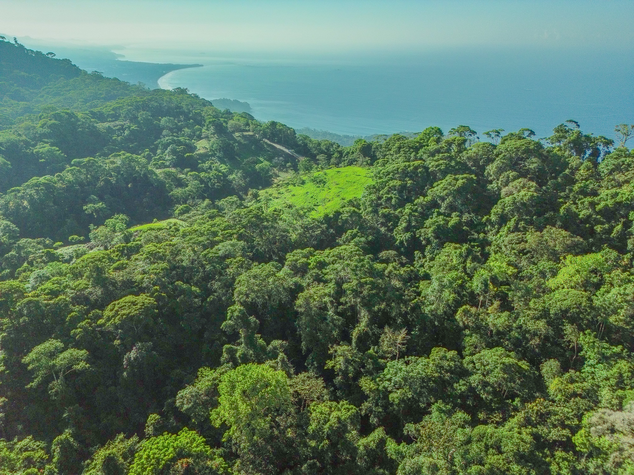 0 bed Land For Sale in Dominical, Puntarenas - thumb 19