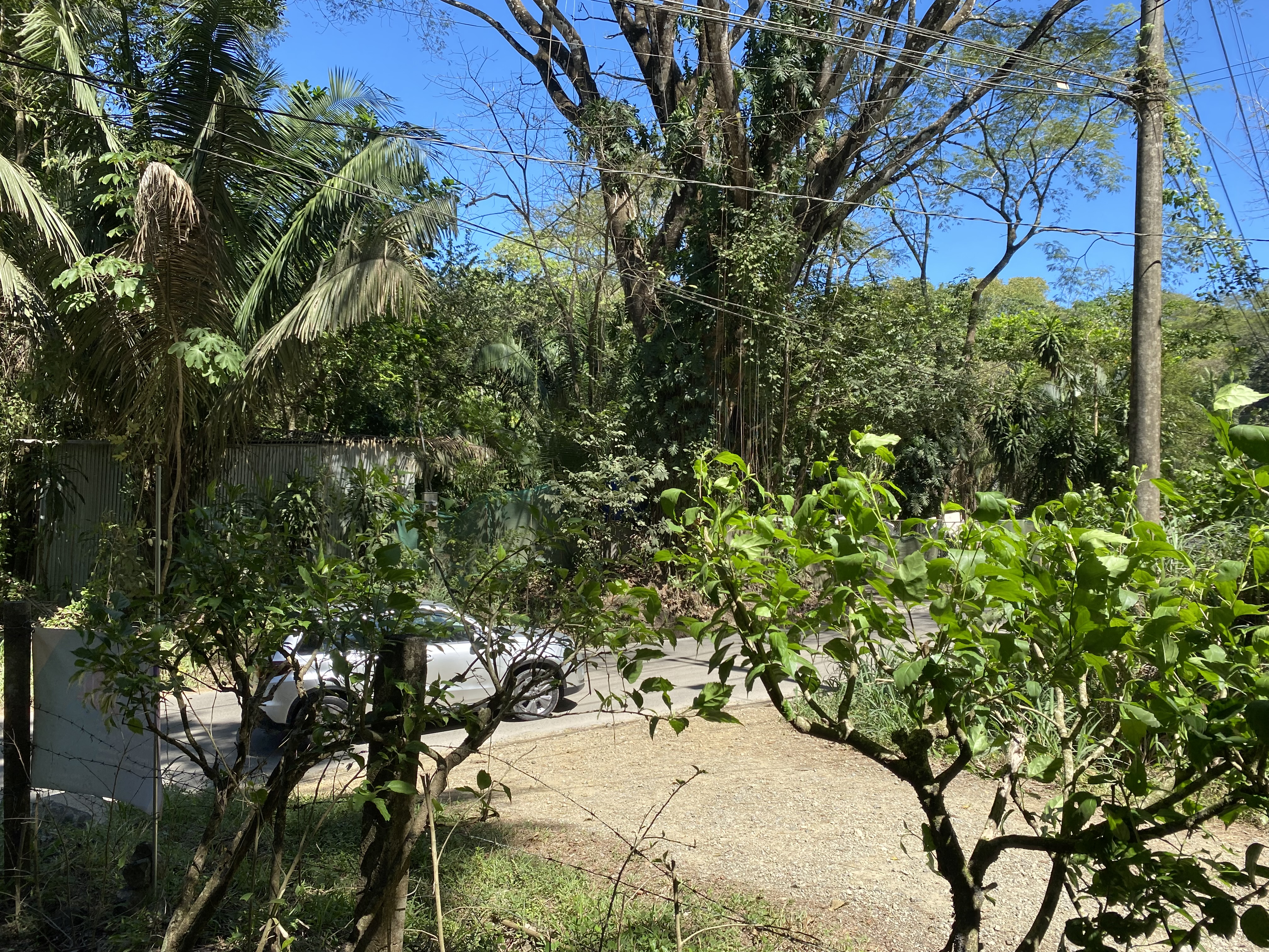 0 bed Land For Sale in Santa Teresa, Puntarenas - thumb 10