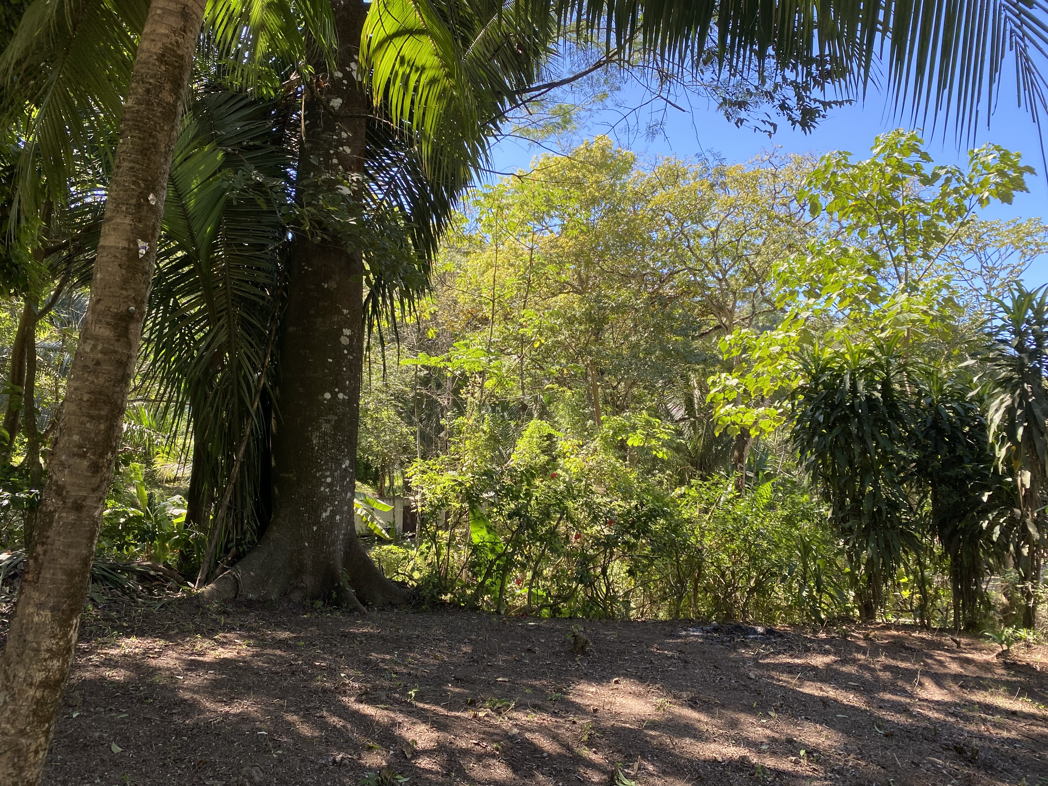 0 bed Land For Sale in Santa Teresa, Puntarenas - thumb 7