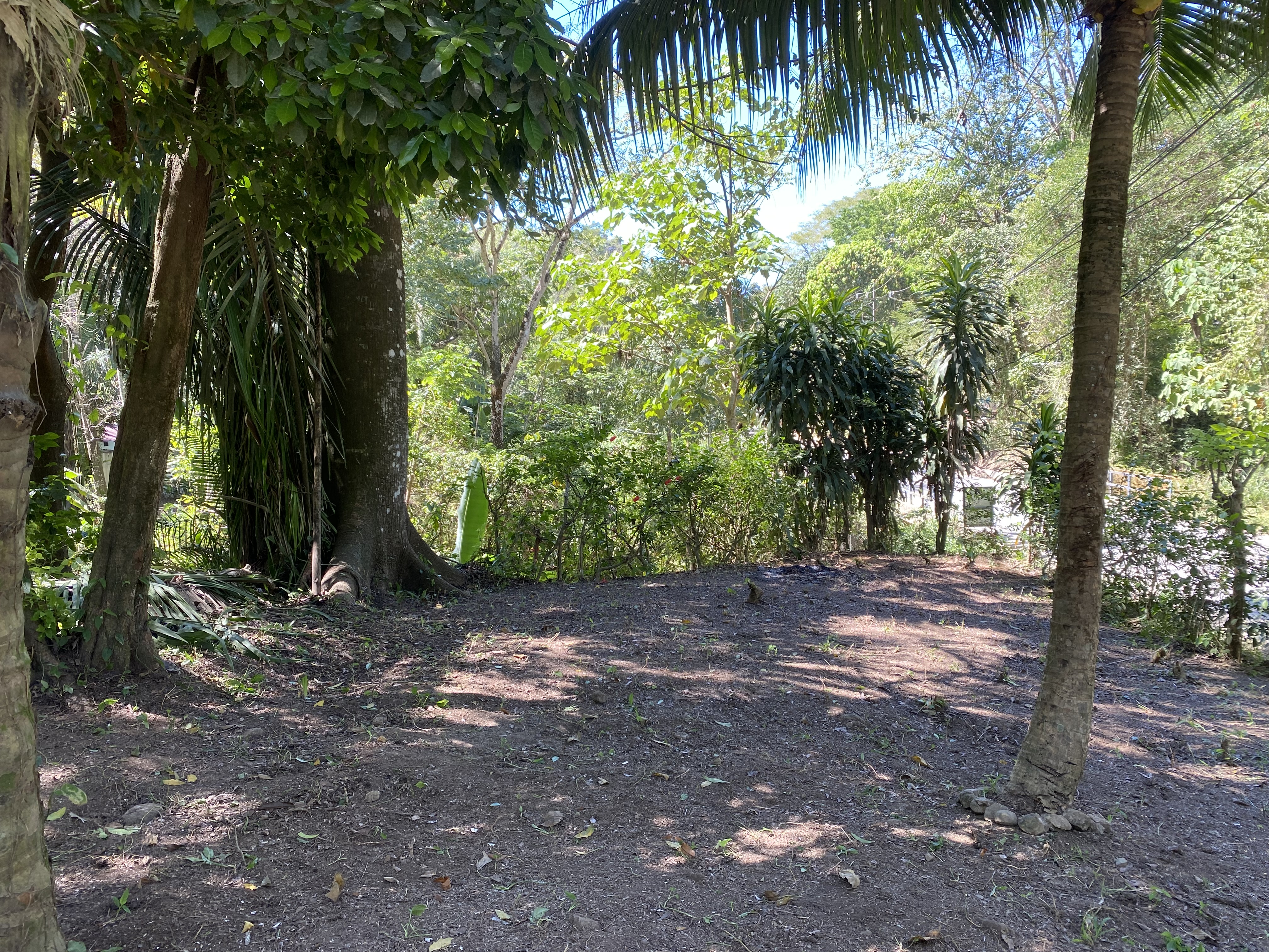 0 bed Land For Sale in Santa Teresa, Puntarenas - thumb 3