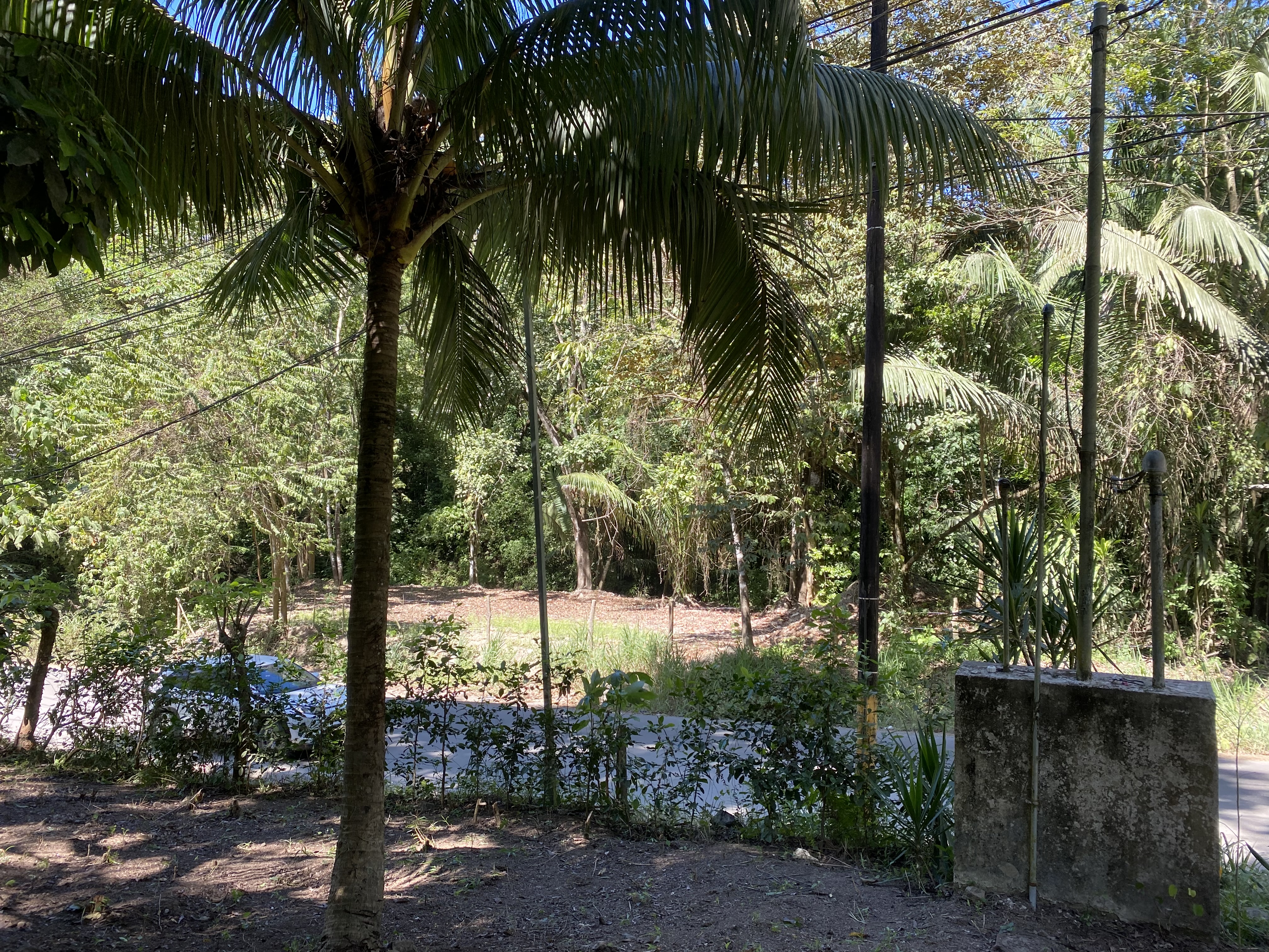 0 bed Land For Sale in Santa Teresa, Puntarenas - thumb 9