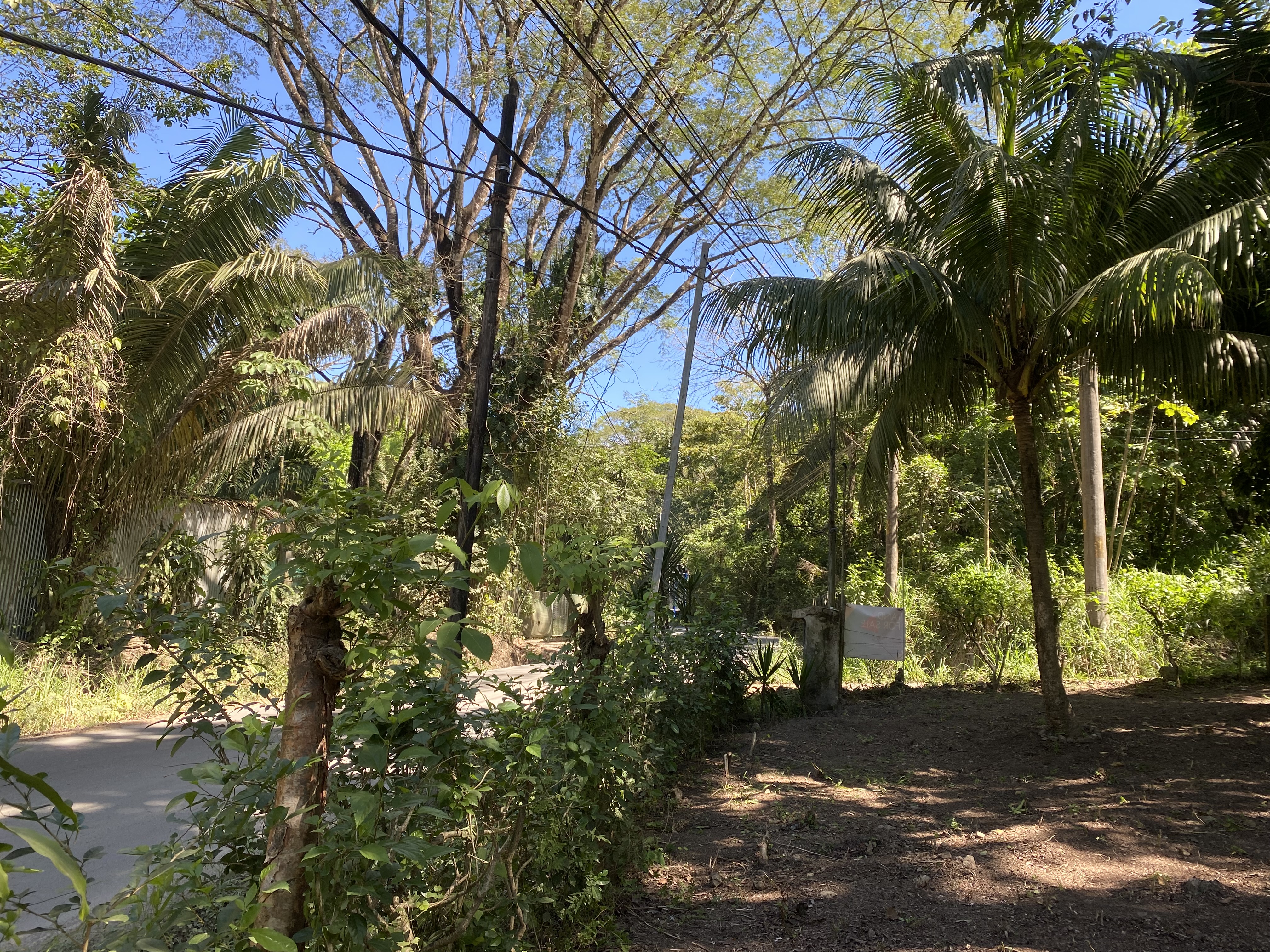 0 bed Land For Sale in Santa Teresa, Puntarenas - thumb 8