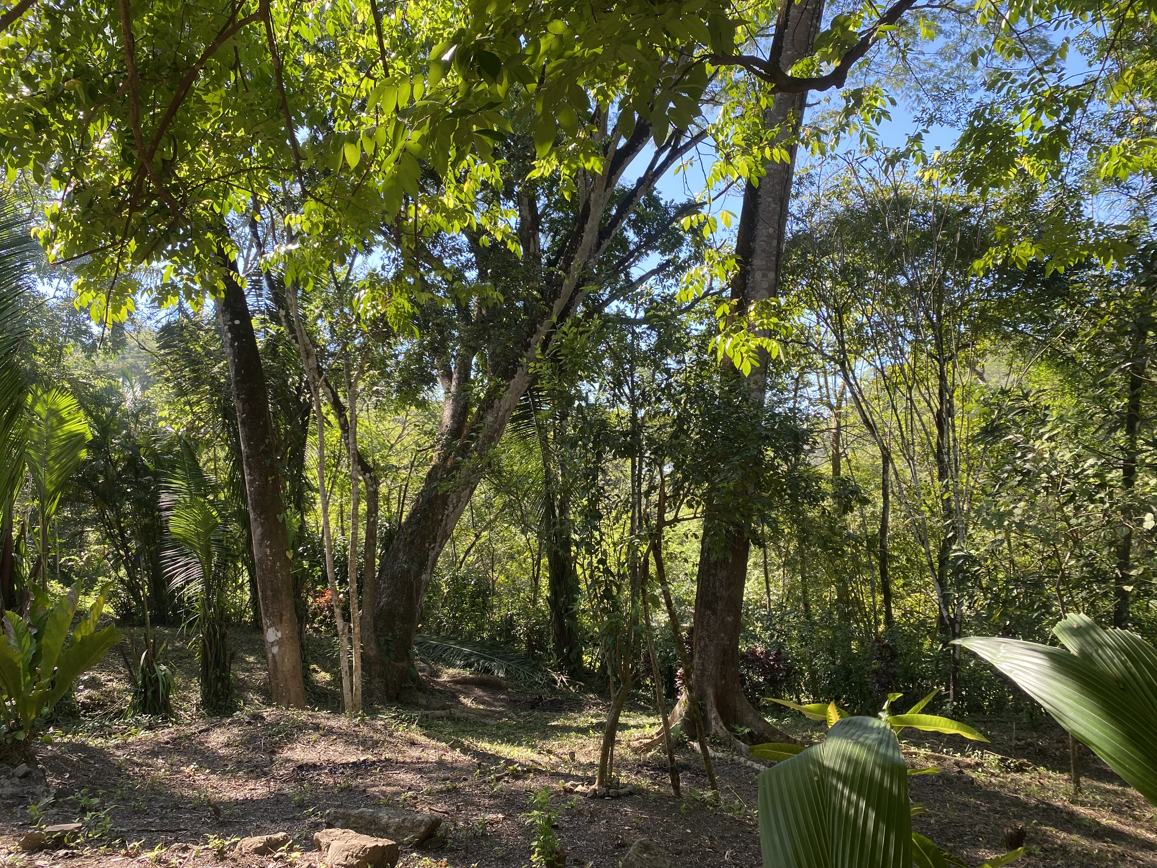 0 bed Land For Sale in Santa Teresa, Puntarenas - thumb 1