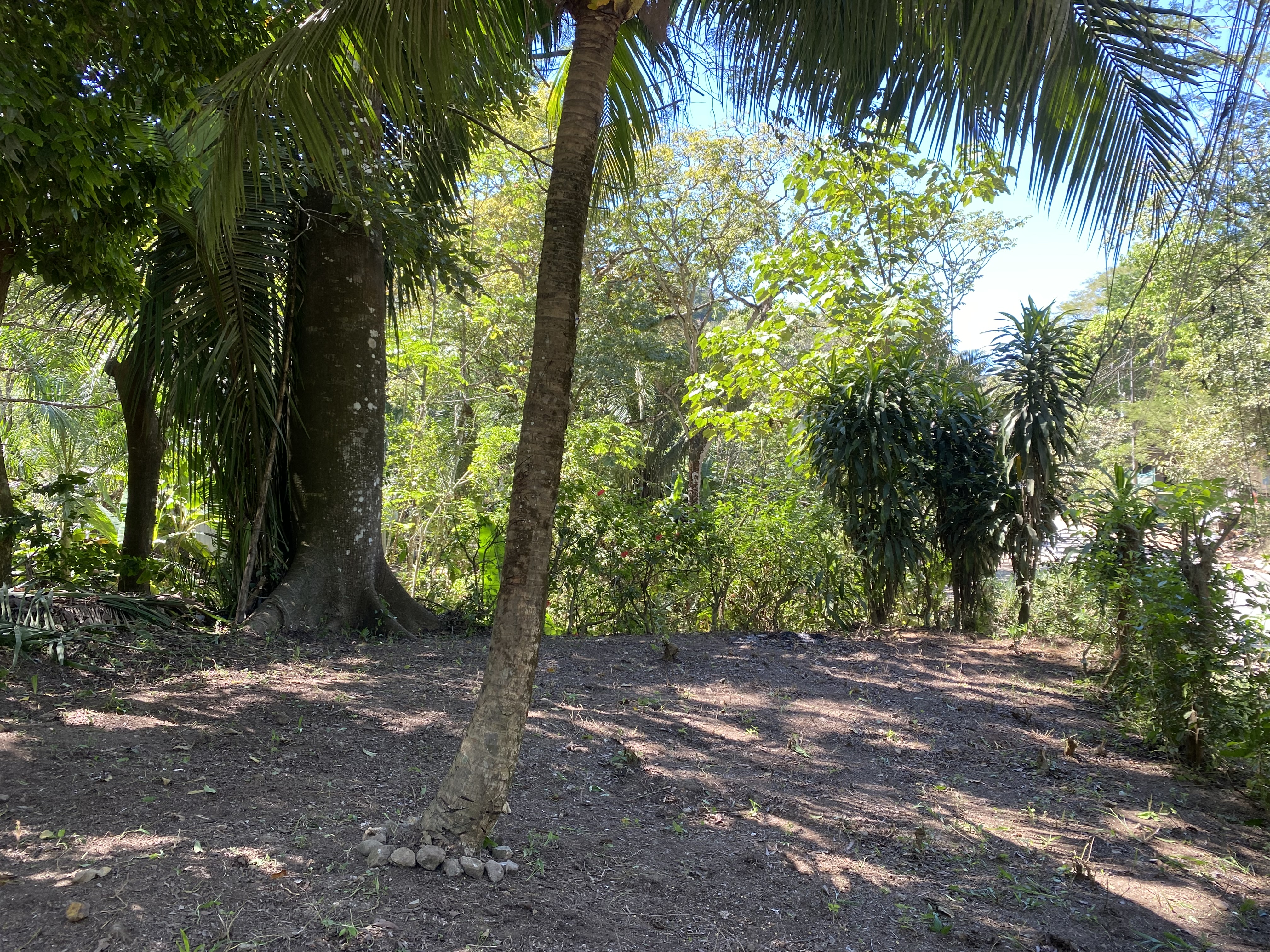 0 bed Land For Sale in Santa Teresa, Puntarenas - thumb 5