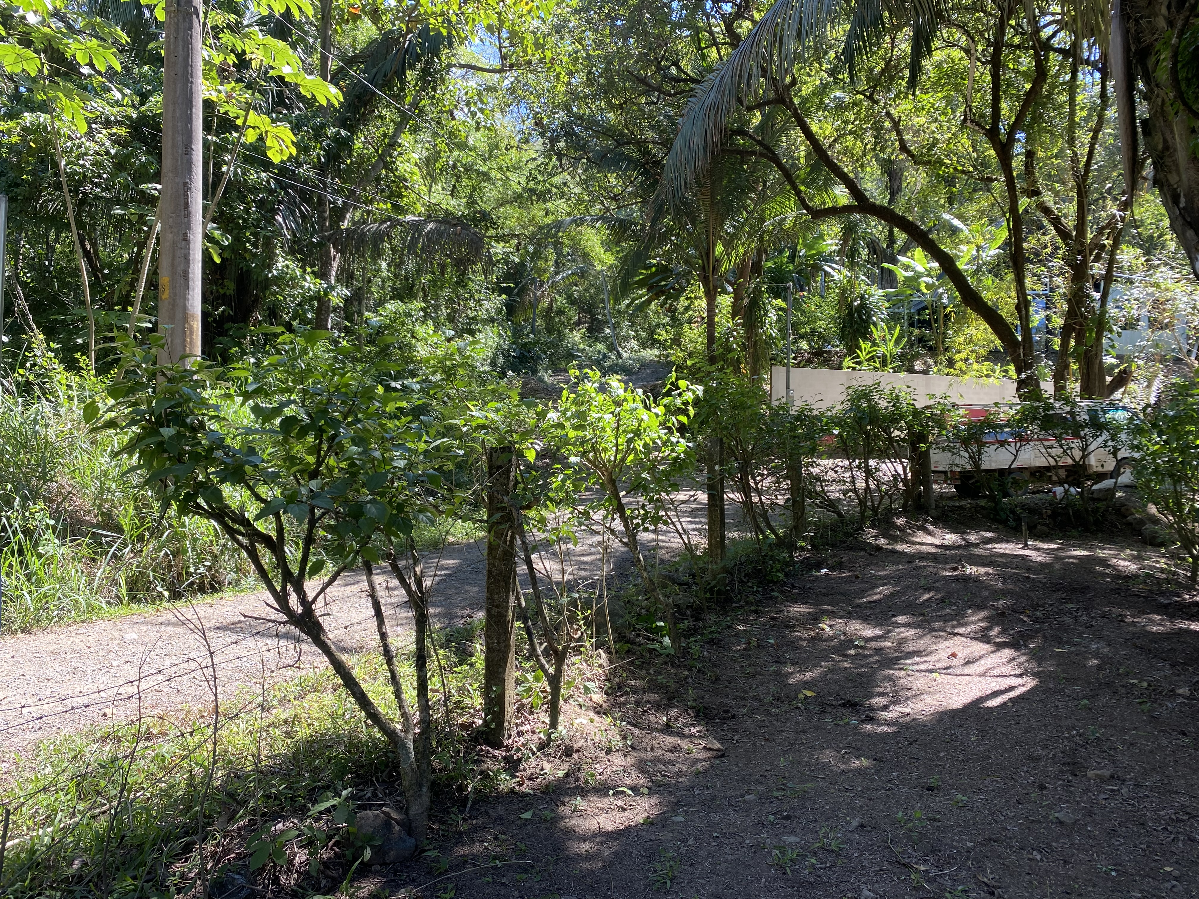 0 bed Land For Sale in Santa Teresa, Puntarenas - thumb 4