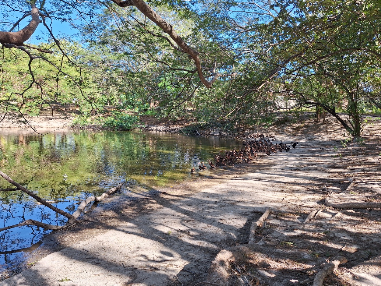 64 bed Hotel / Leisure For Sale in Liberia, Guanacaste - thumb 18