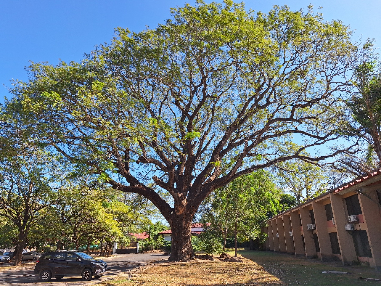 64 bed Hotel / Leisure For Sale in Liberia, Guanacaste - thumb 6