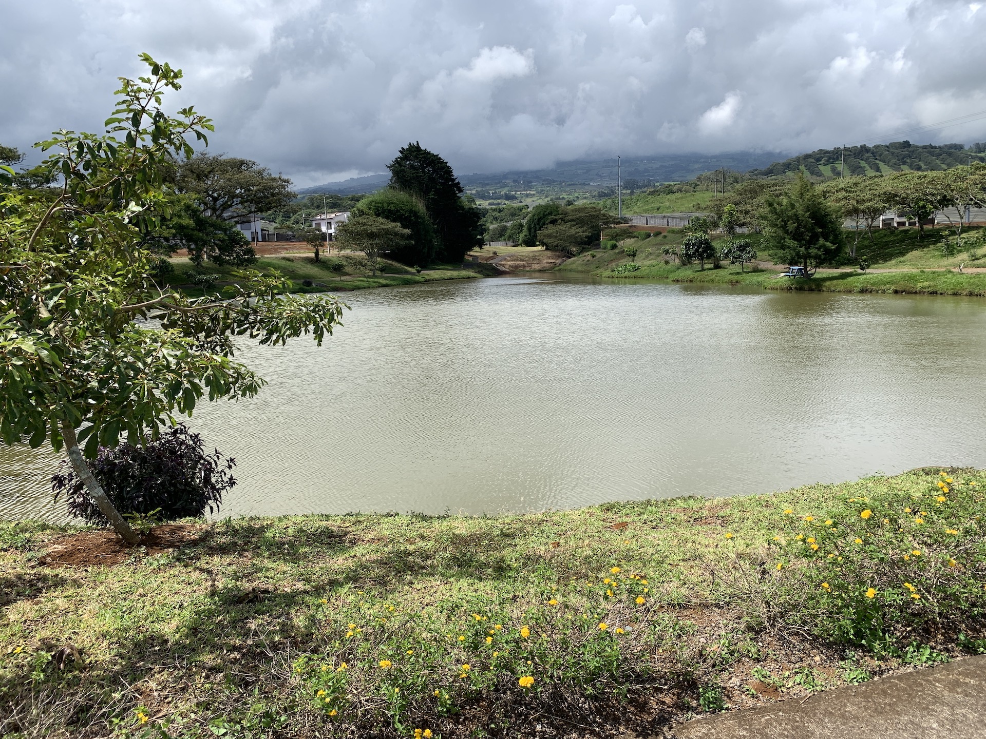 0 bed Land For Sale in Paraíso, Cartago - thumb 6