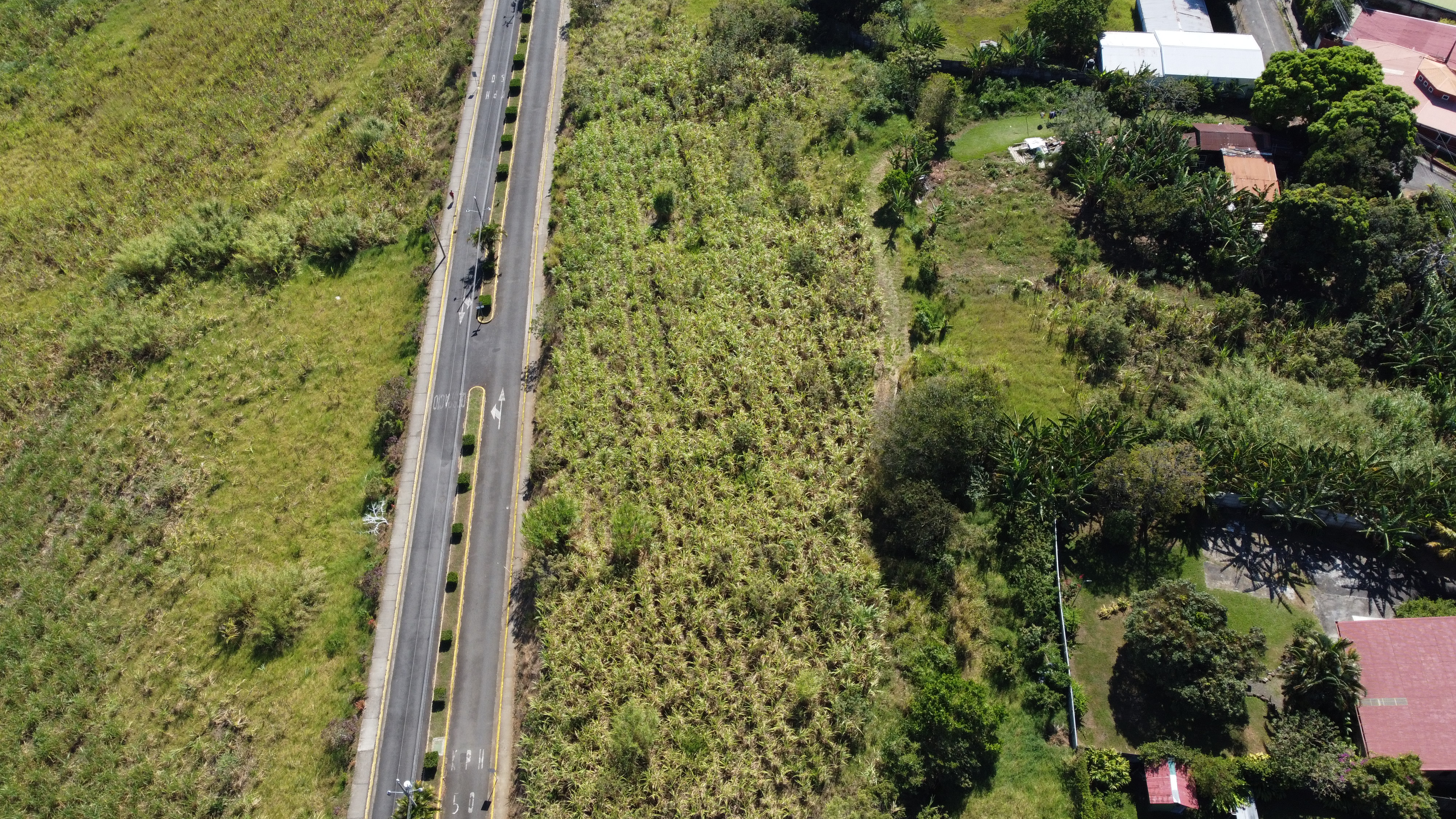 0 bed Land For Sale in Grecia, Alajuela - thumb 9