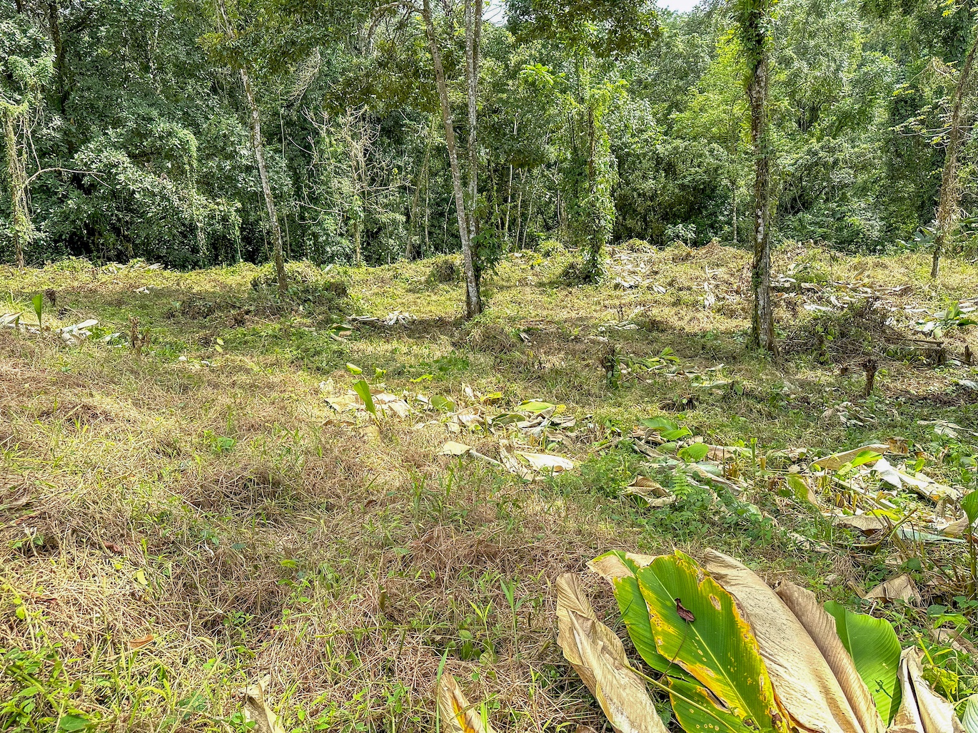 0 bed Land For Sale in Ojochal, Puntarenas - thumb 22